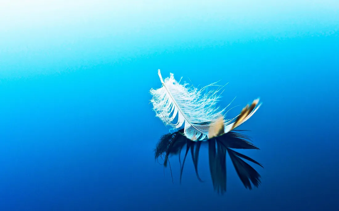Feather