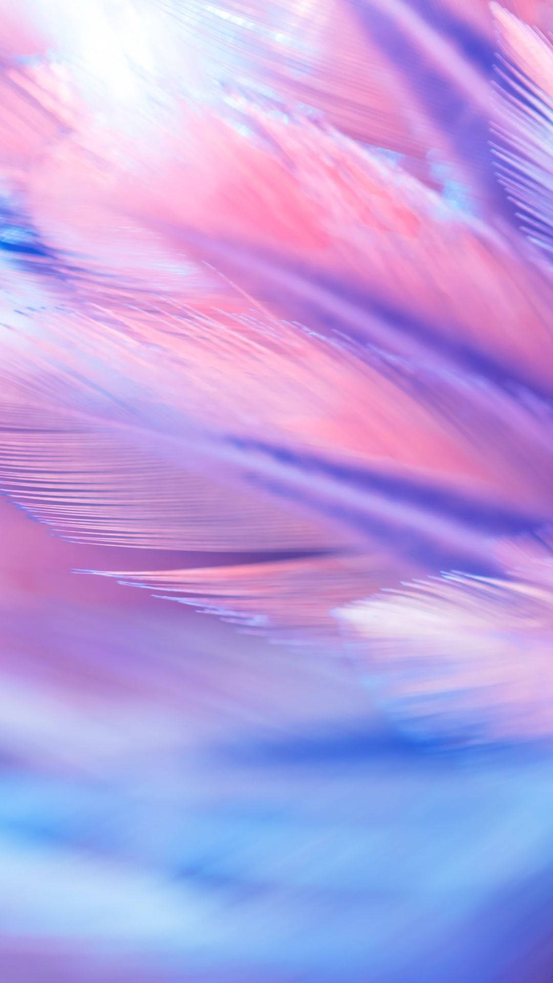 iPhone 11, purple, feathers, Full HD Phone Wallpaper