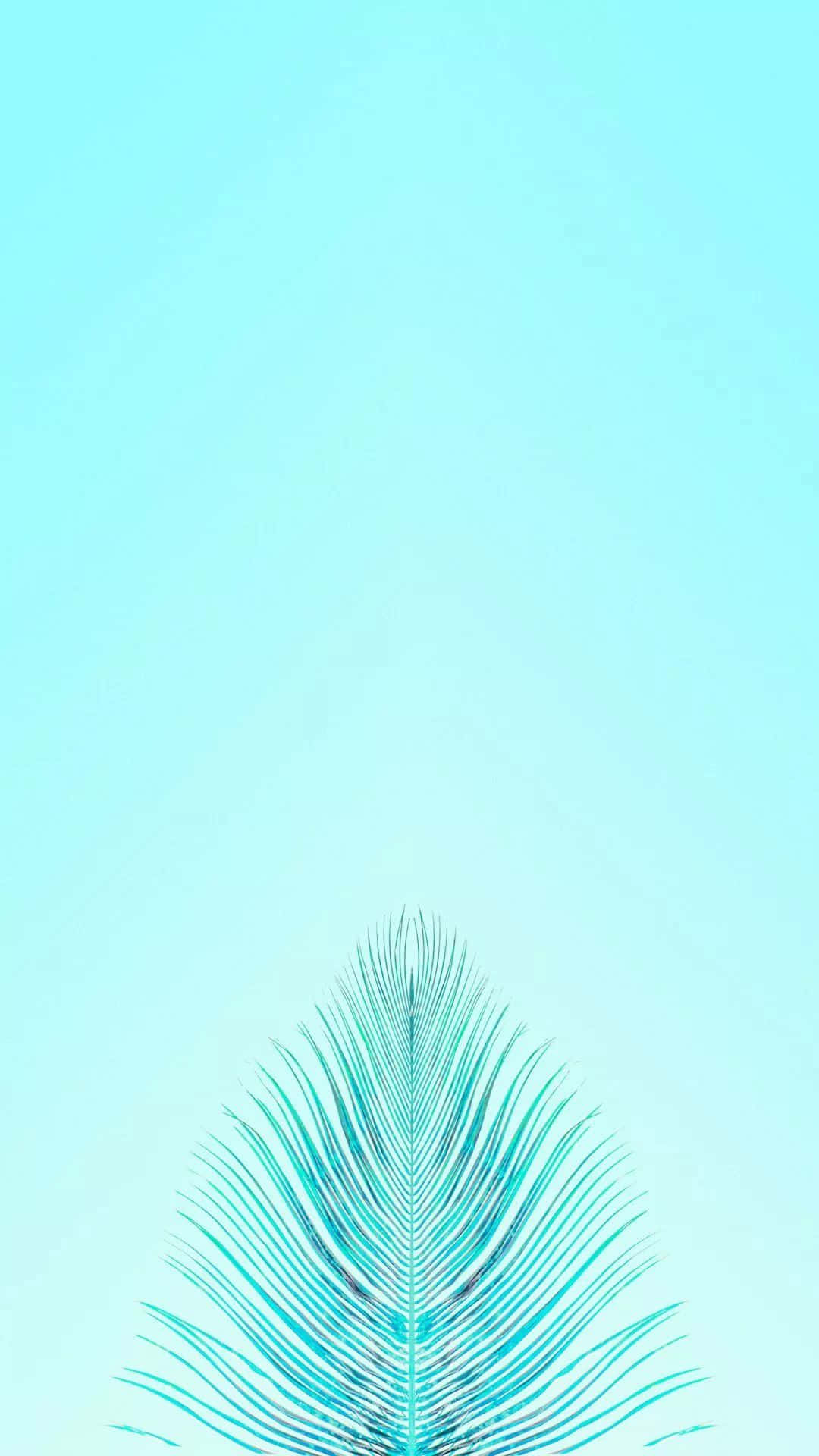 iPhone, teal, Feather, Full HD Phone Wallpaper