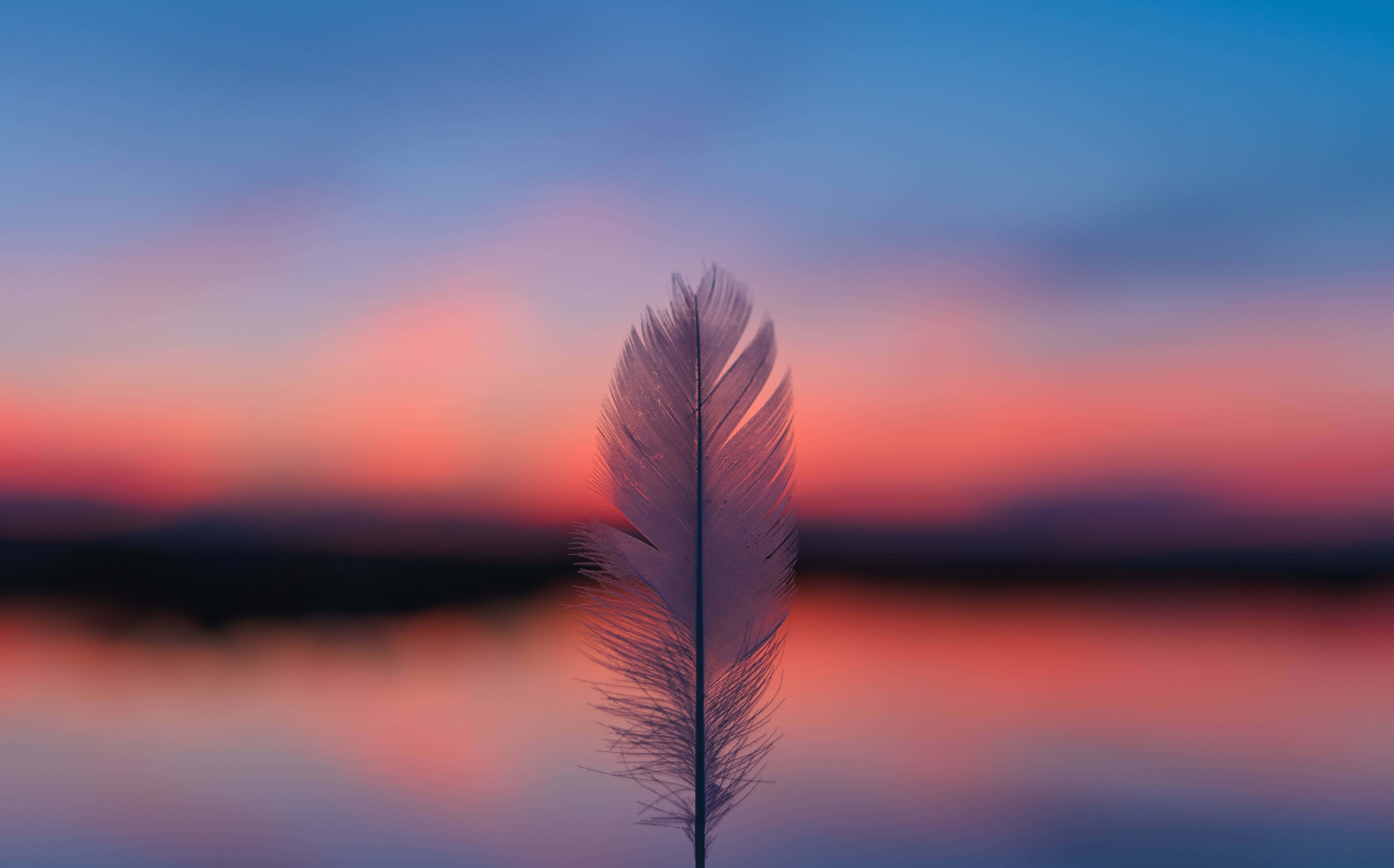 serene sunset, feather, twilight sky, 5K Desktop Wallpaper