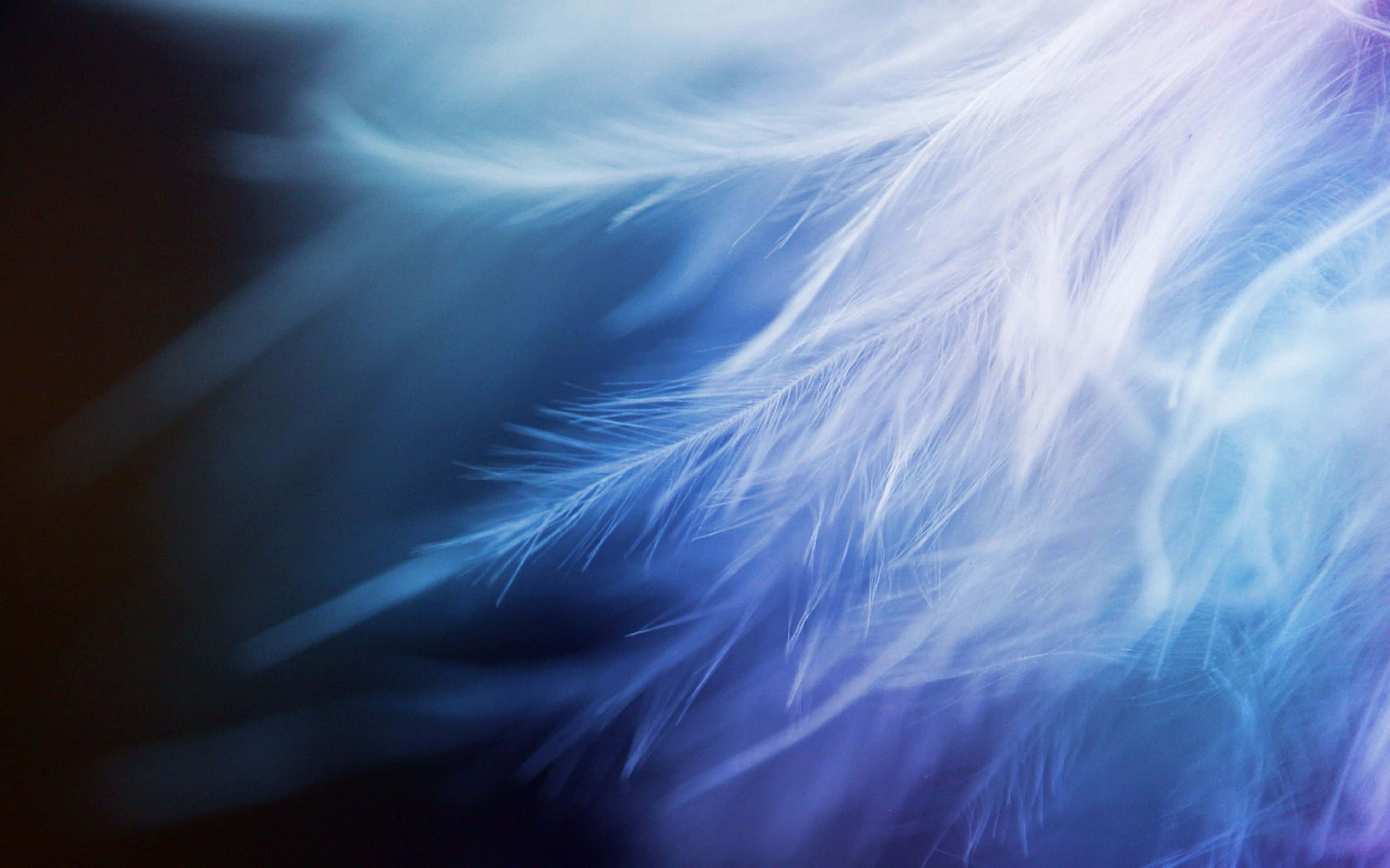 soft blue feather, white feathers, cool blue light, 4K Desktop Wallpaper