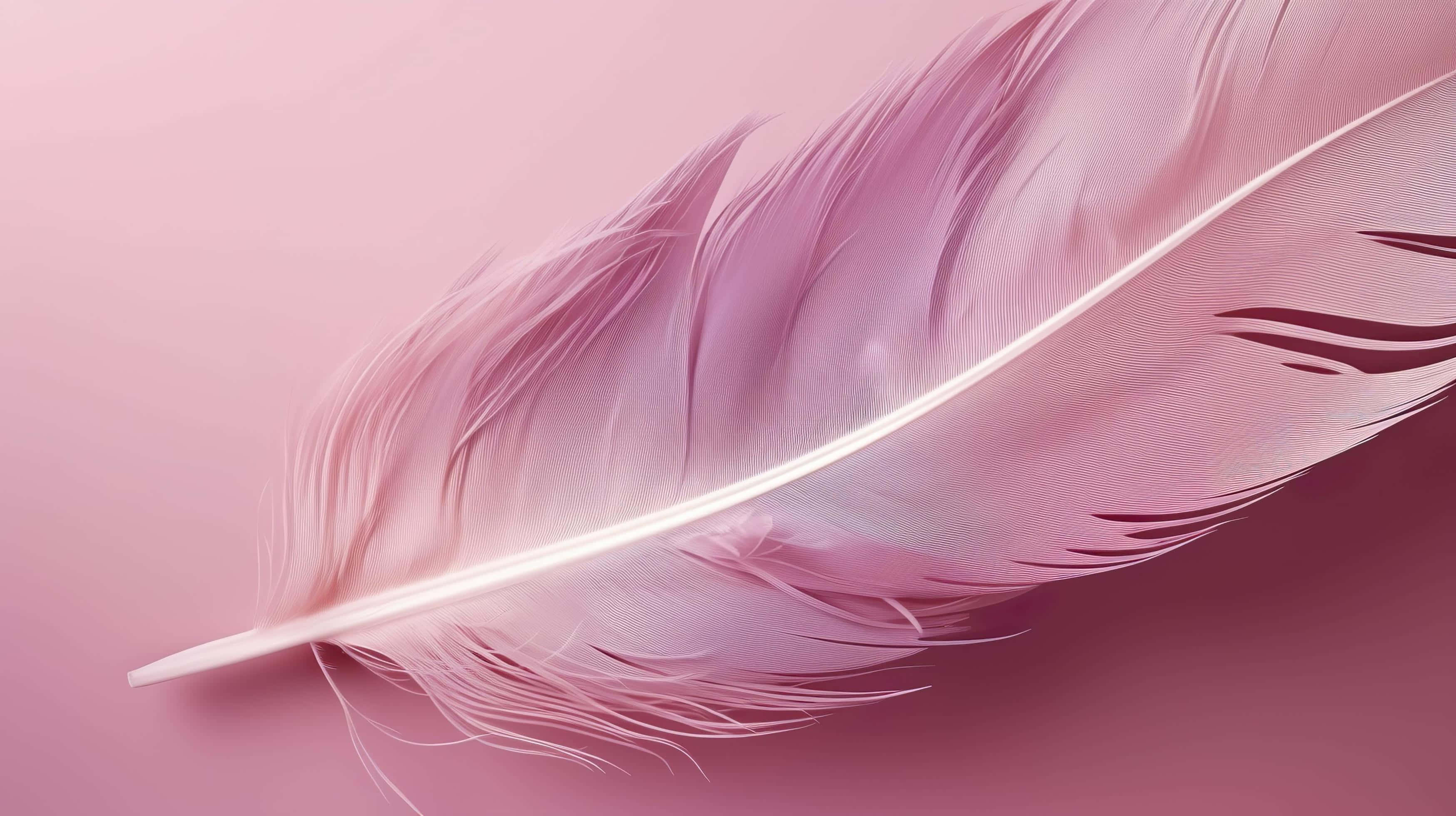 delicate pink feather, gradient pink background, delicate lighting, 2K Desktop Wallpaper