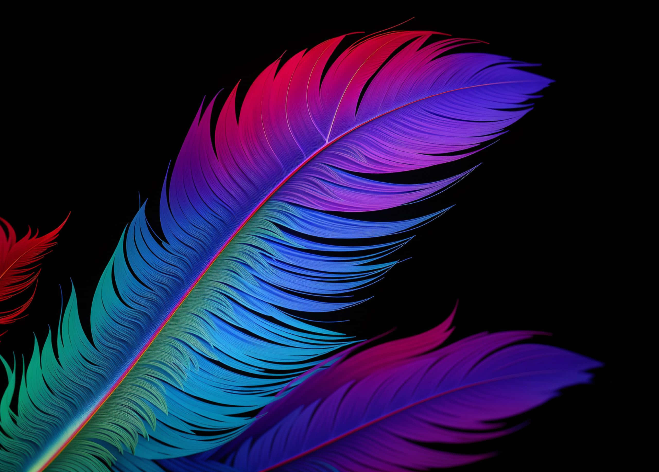 vibrant iridescent feathers, electric pink blue, teal, 2K Desktop Wallpaper