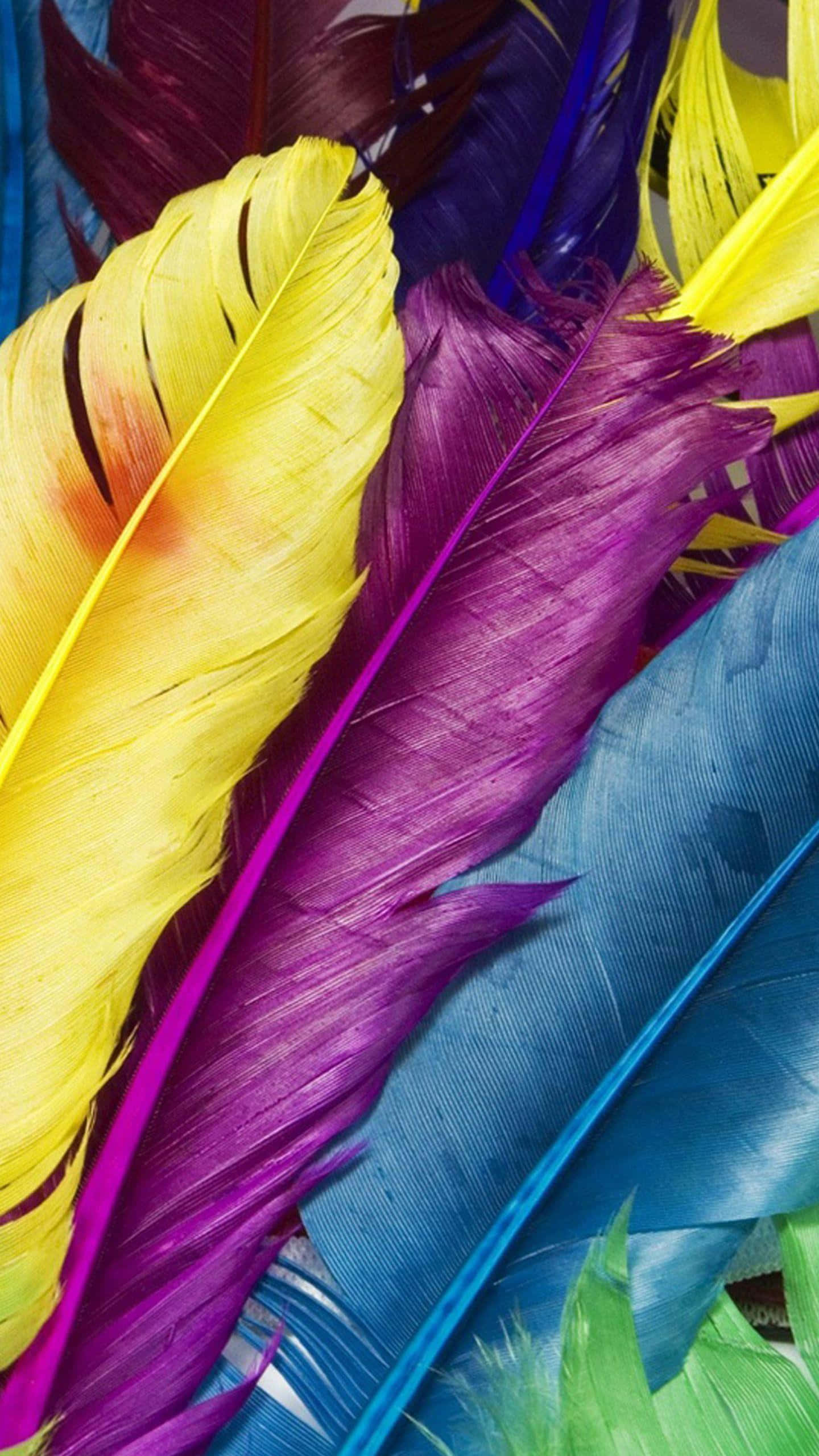 colorful feathers, vibrant yellow, purple, 2K Phone Wallpaper