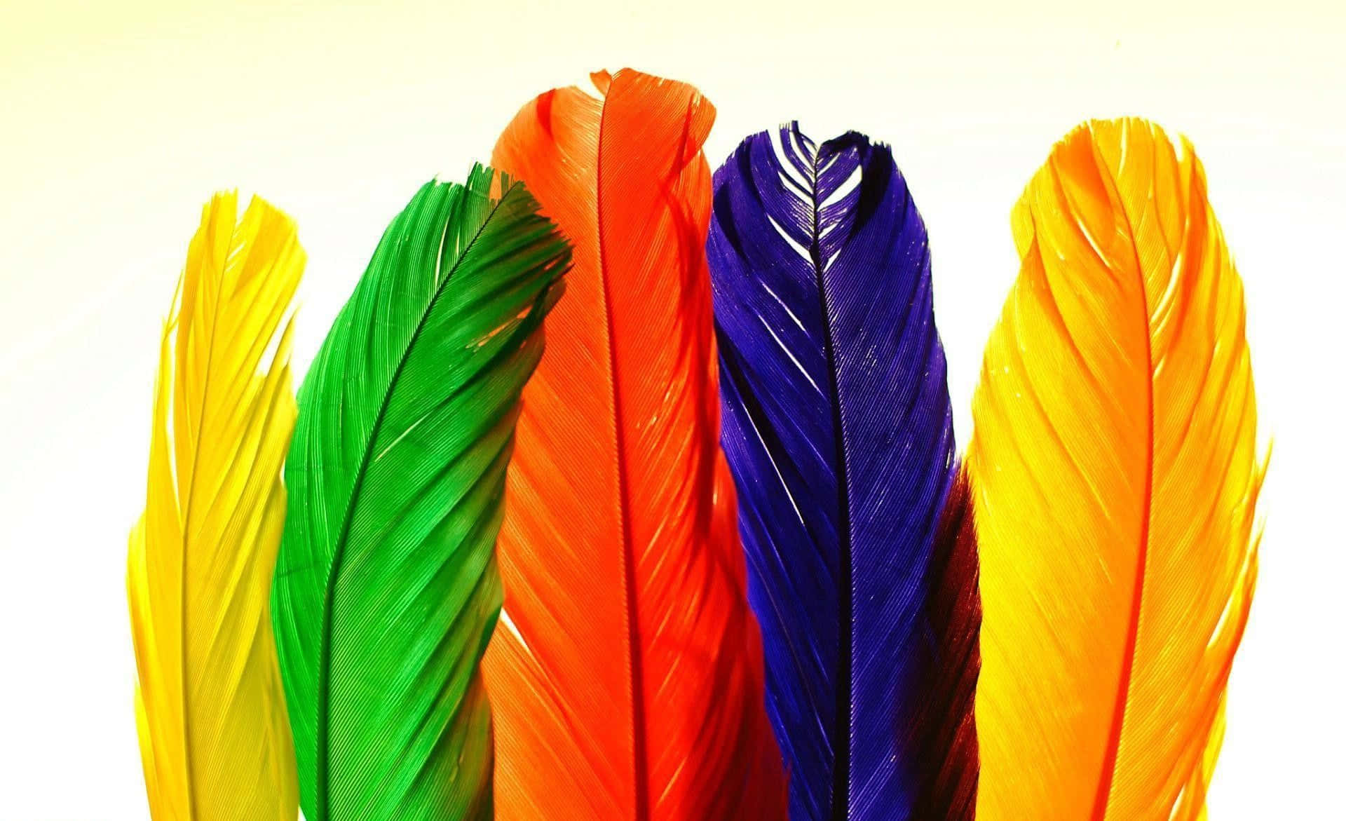 vibrant feathers array, yellow green orange blue and gold, soft white background, Full HD Desktop Wallpaper