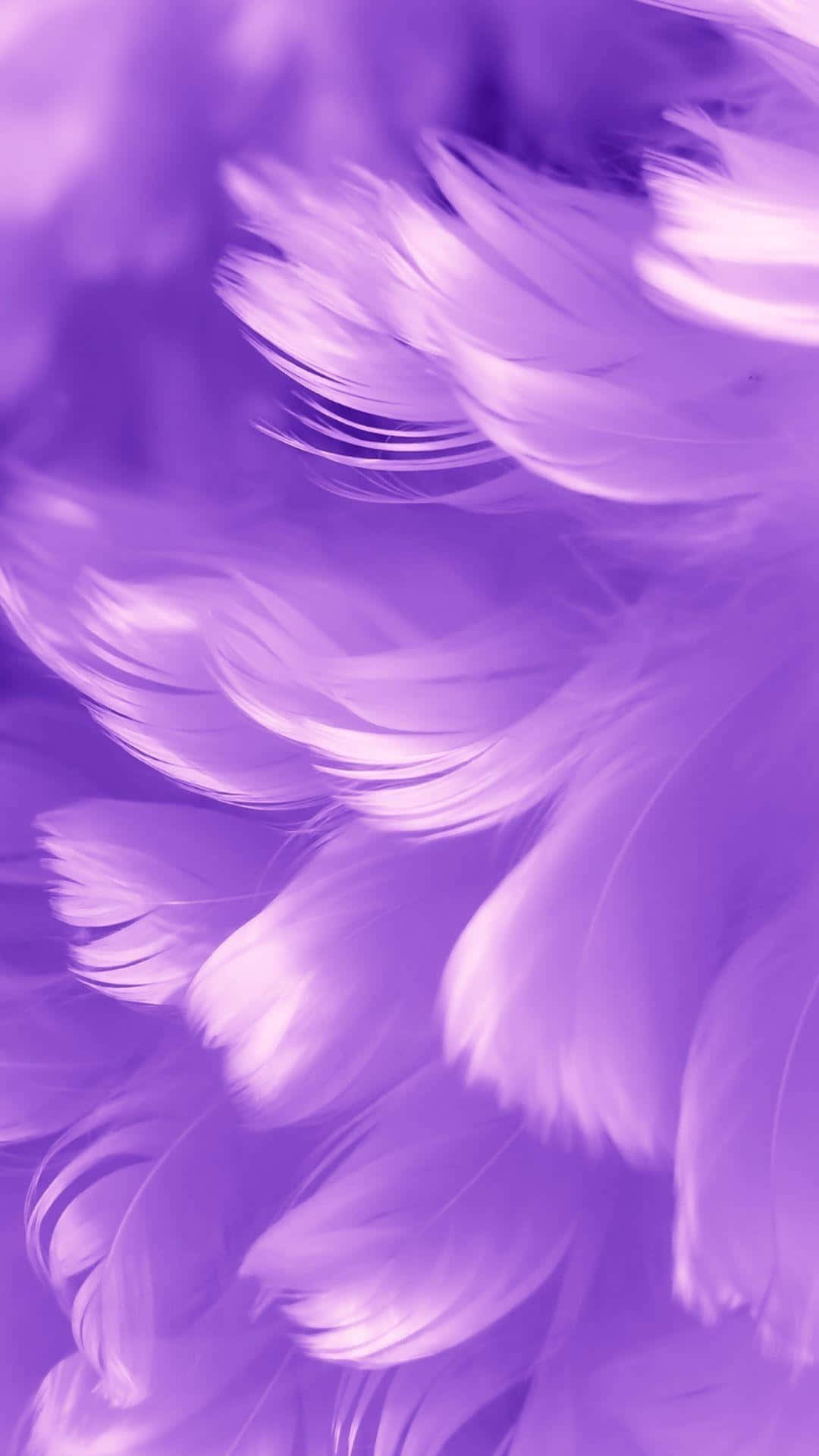 purple feather texture, lavender feathers, dreamy purple gradient background, Full HD Phone Wallpaper