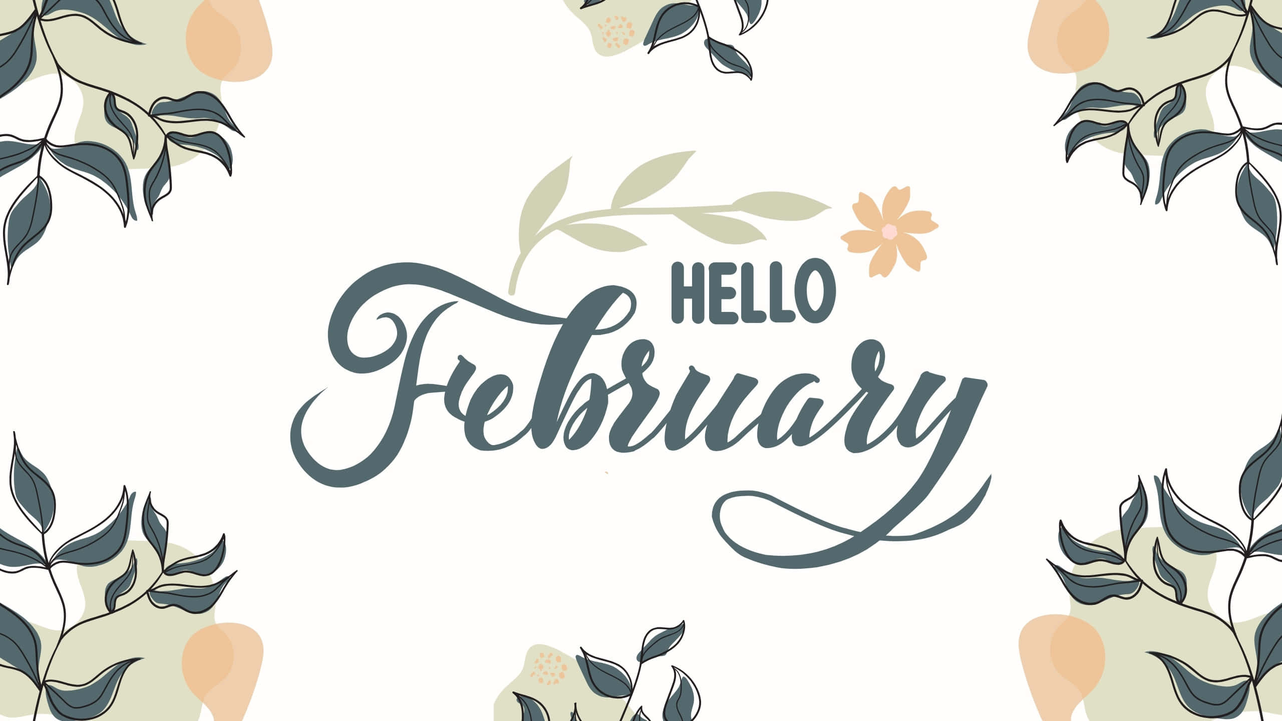Hello February, script, leaves, 2K Desktop Wallpaper