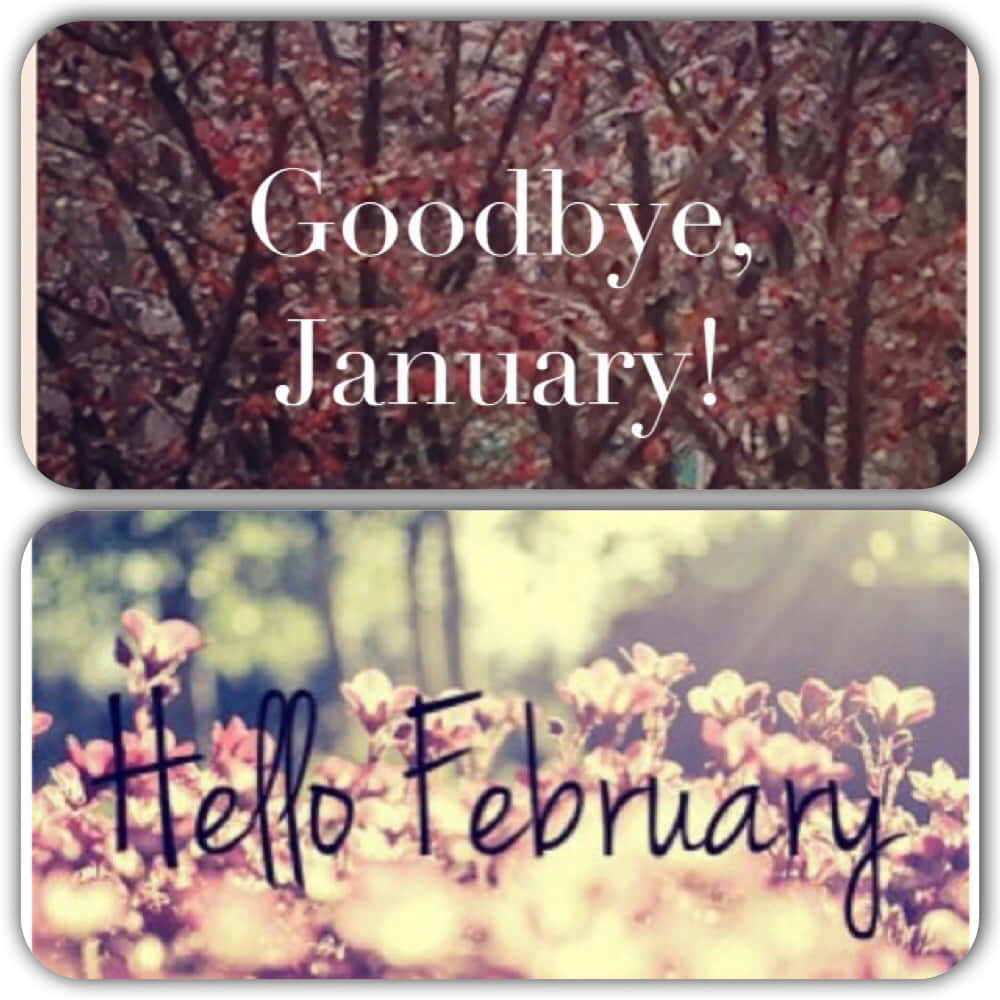 February, Goodbye January, Hello February, SD Desktop Wallpaper