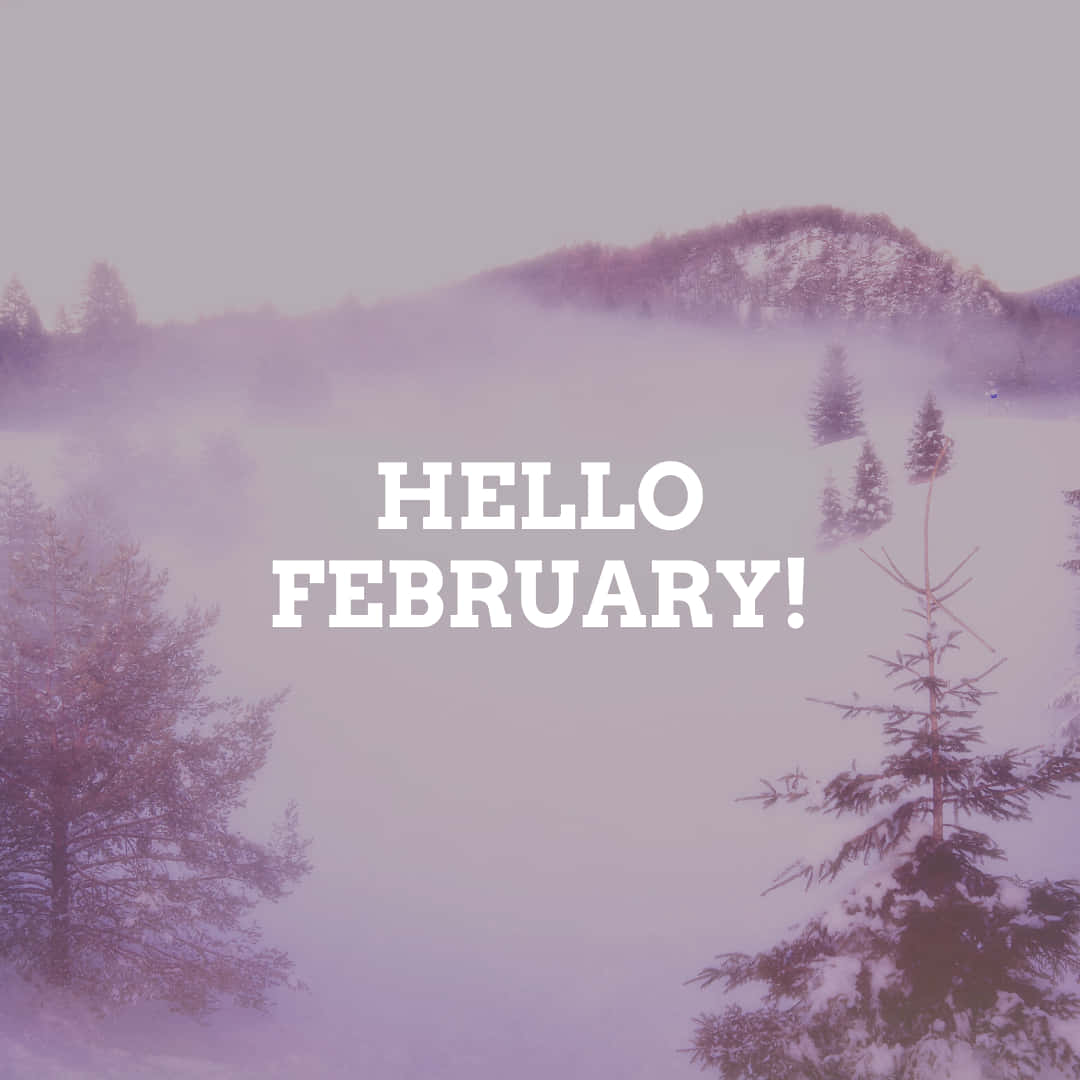 hello february, snowy pine trees, misty purple-hued winter hills, SD Desktop Wallpaper