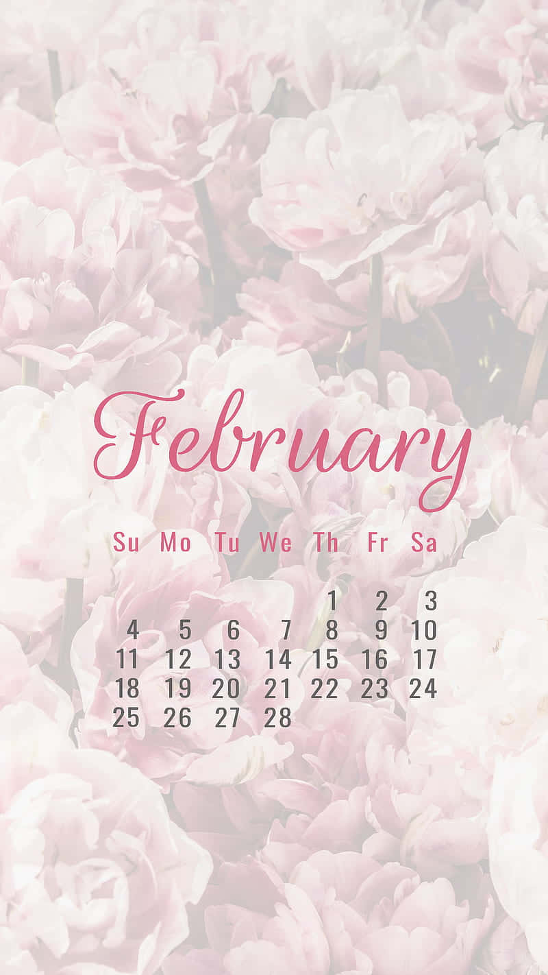 February, pink, cursive pink script, HD Phone Wallpaper