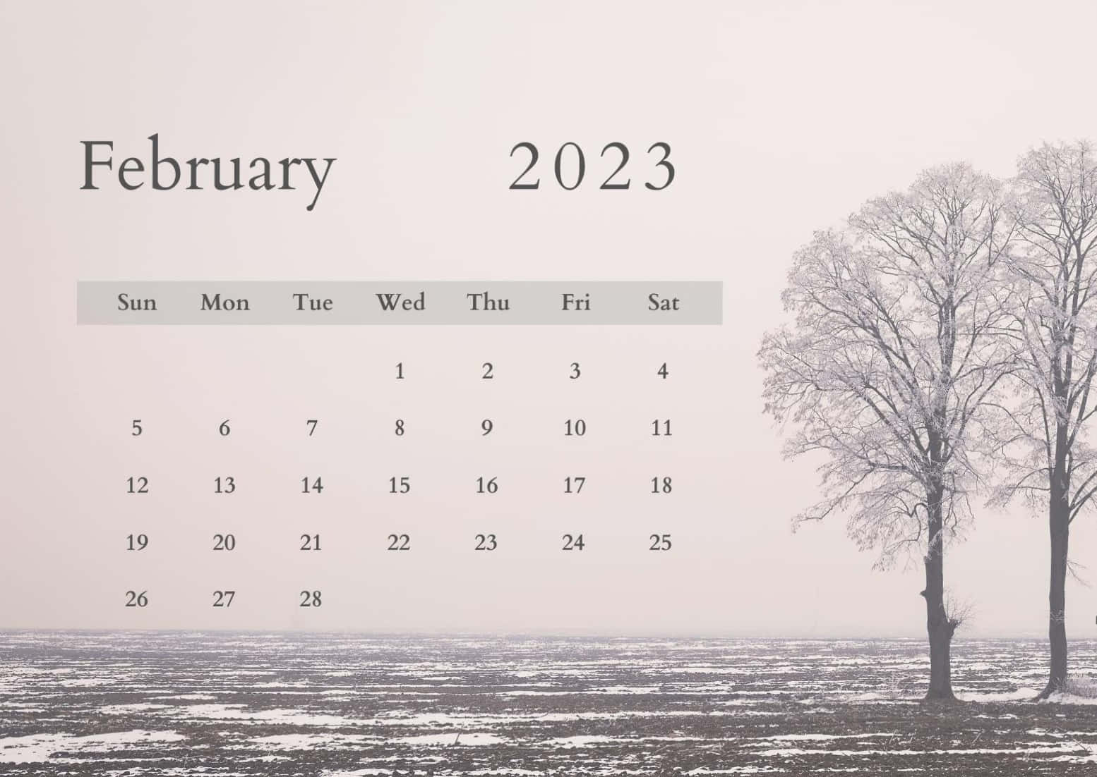 February 2023 calendar, frosty field, bare trees, HD Desktop Wallpaper