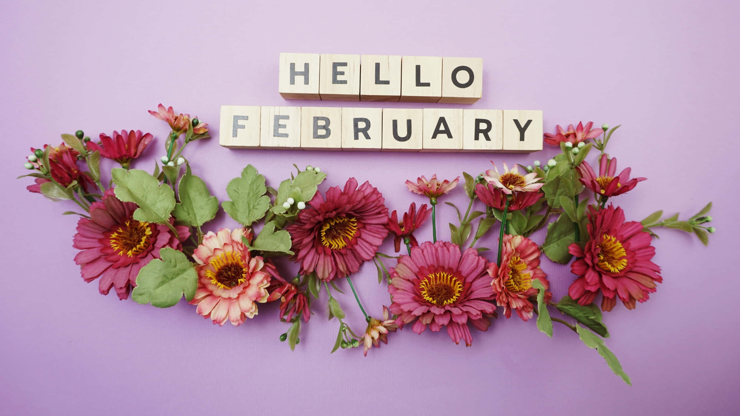 HELLO FEBRUARY, pink and red flowers, green leaves, 2K Desktop Wallpaper