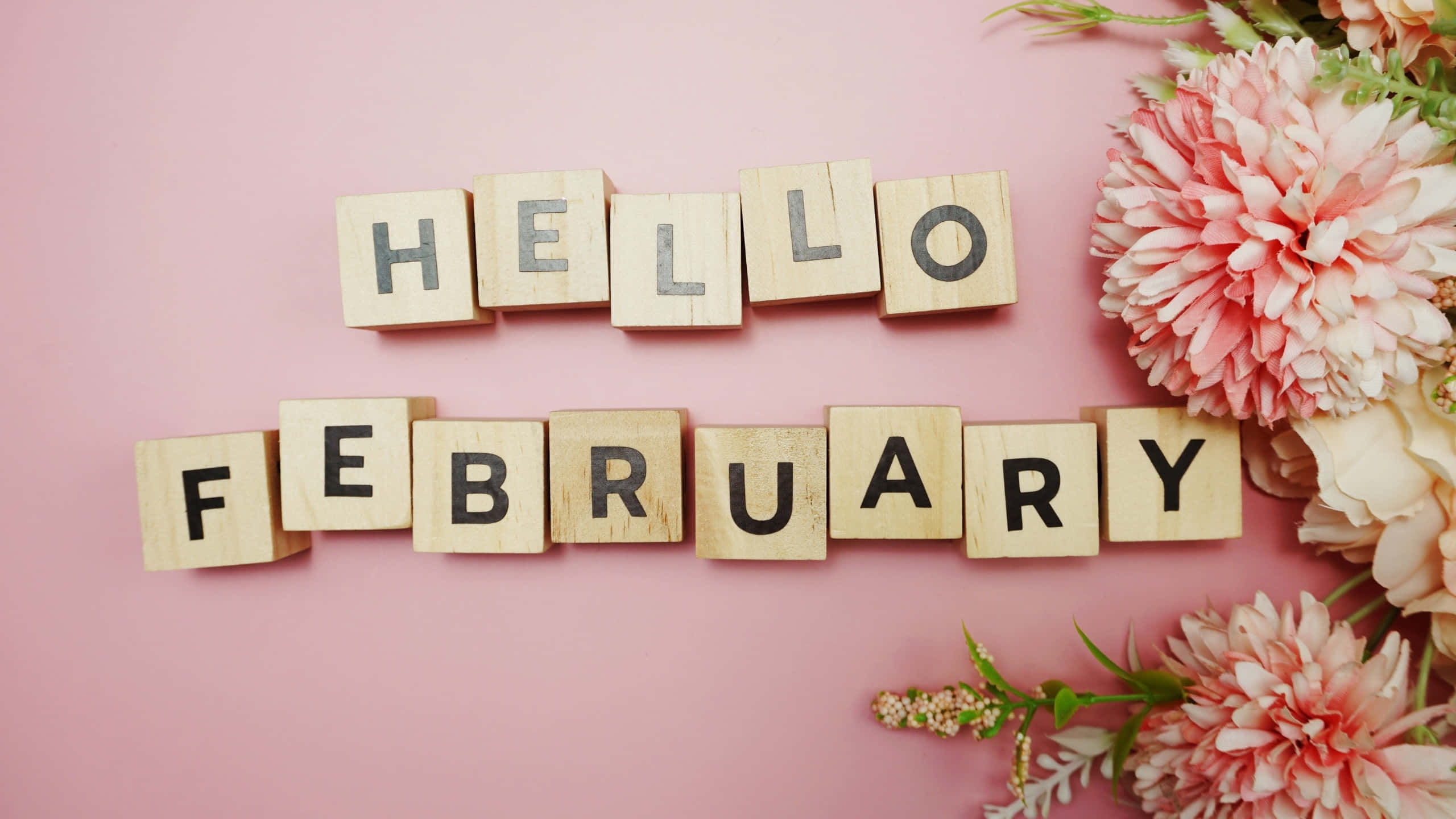 hello february, wooden blocks, soft pink background, 2K Desktop Wallpaper
