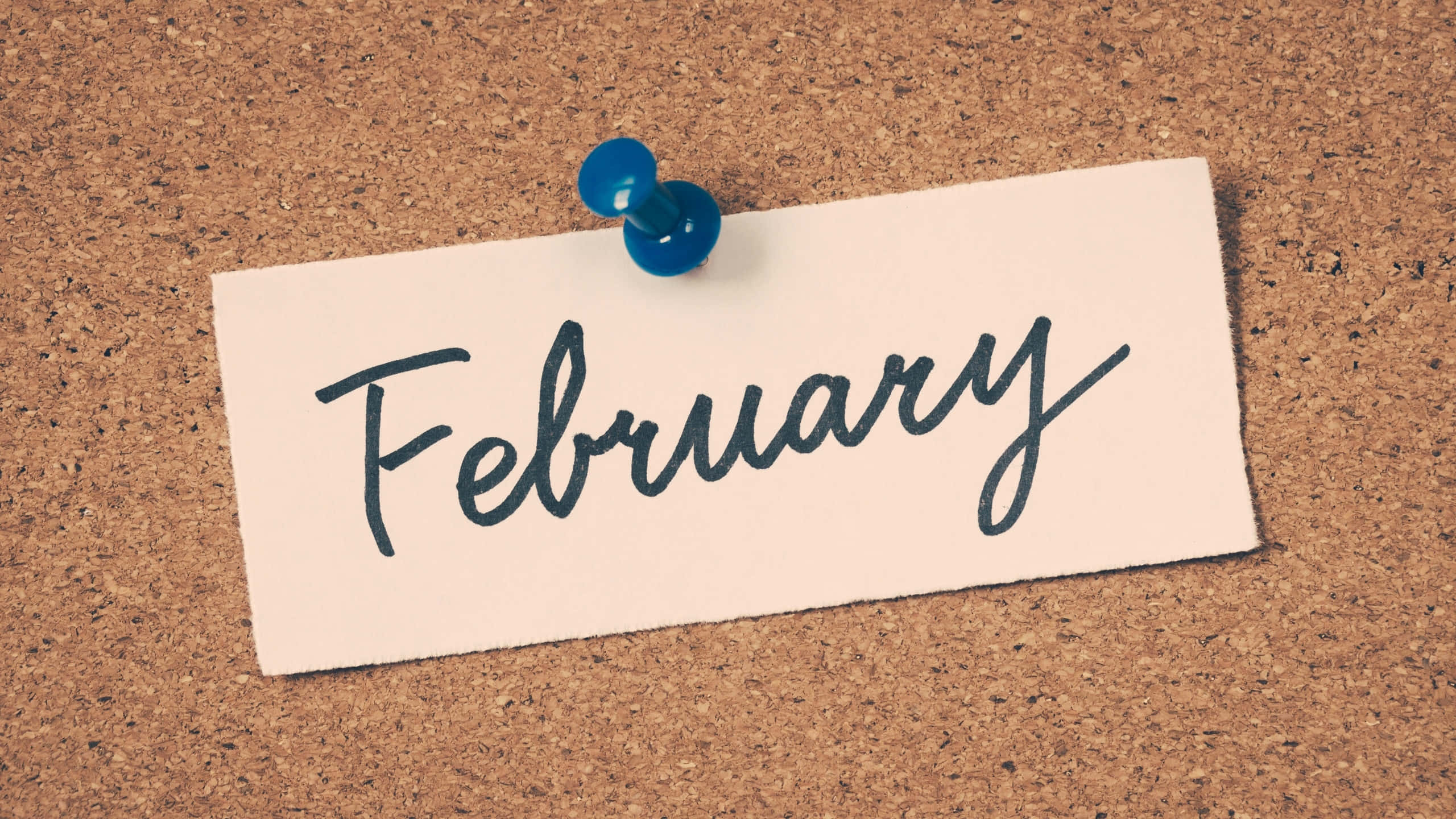 February, corkboard, textured corkboard, 2K Desktop Wallpaper