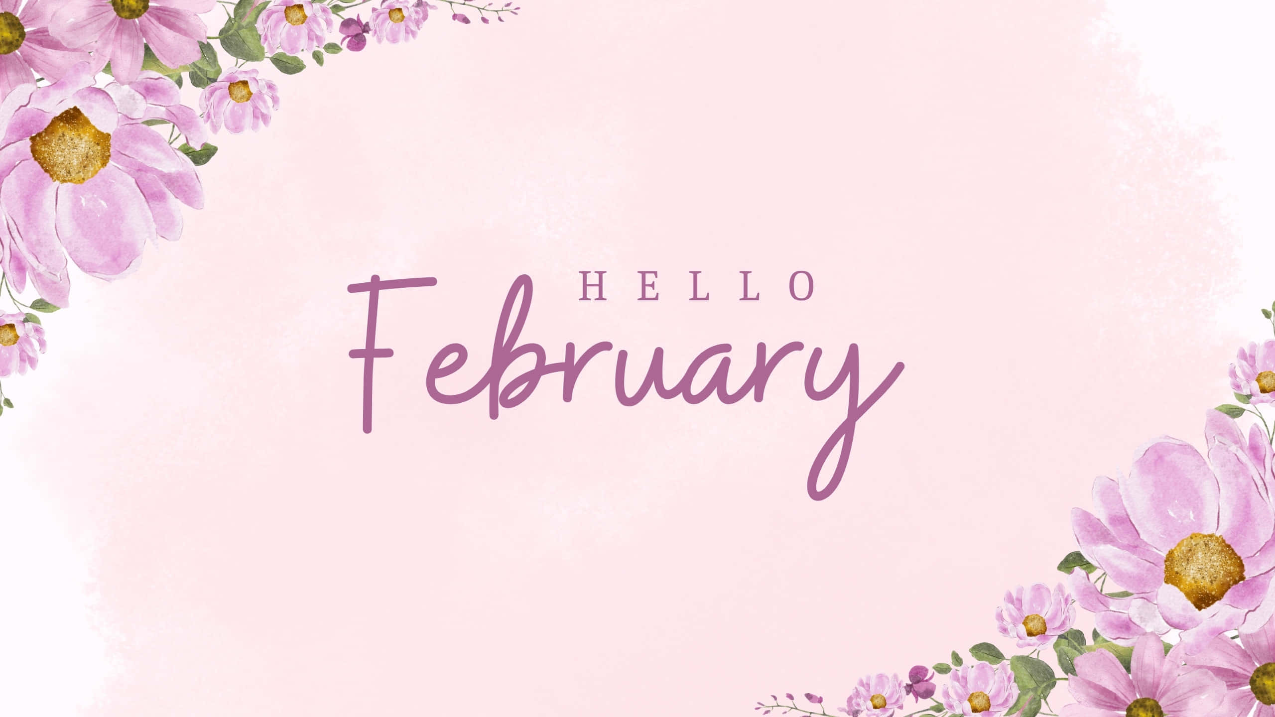Hello February, soft pink watercolor background, delicate purple flowers, 2K Desktop Wallpaper