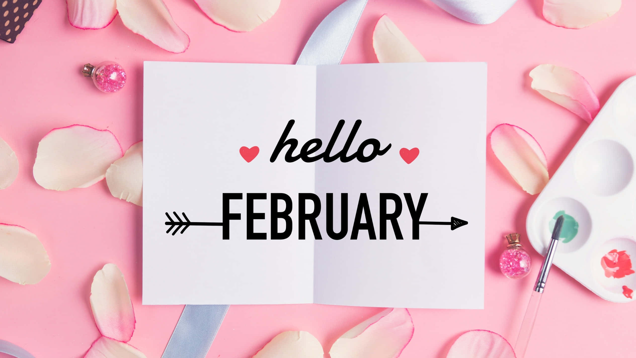 hello FEBRUARY, pink petals, paintbrush, 2K Desktop Wallpaper