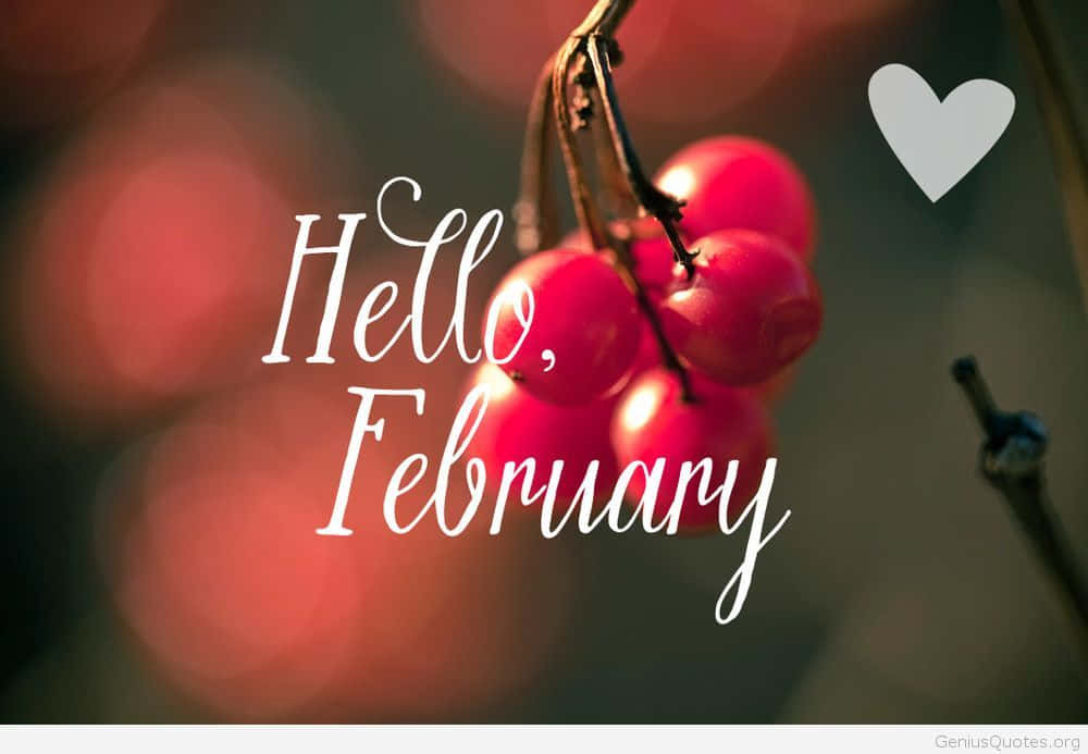 Hello February, vibrant red berries, branch, SD Desktop Wallpaper