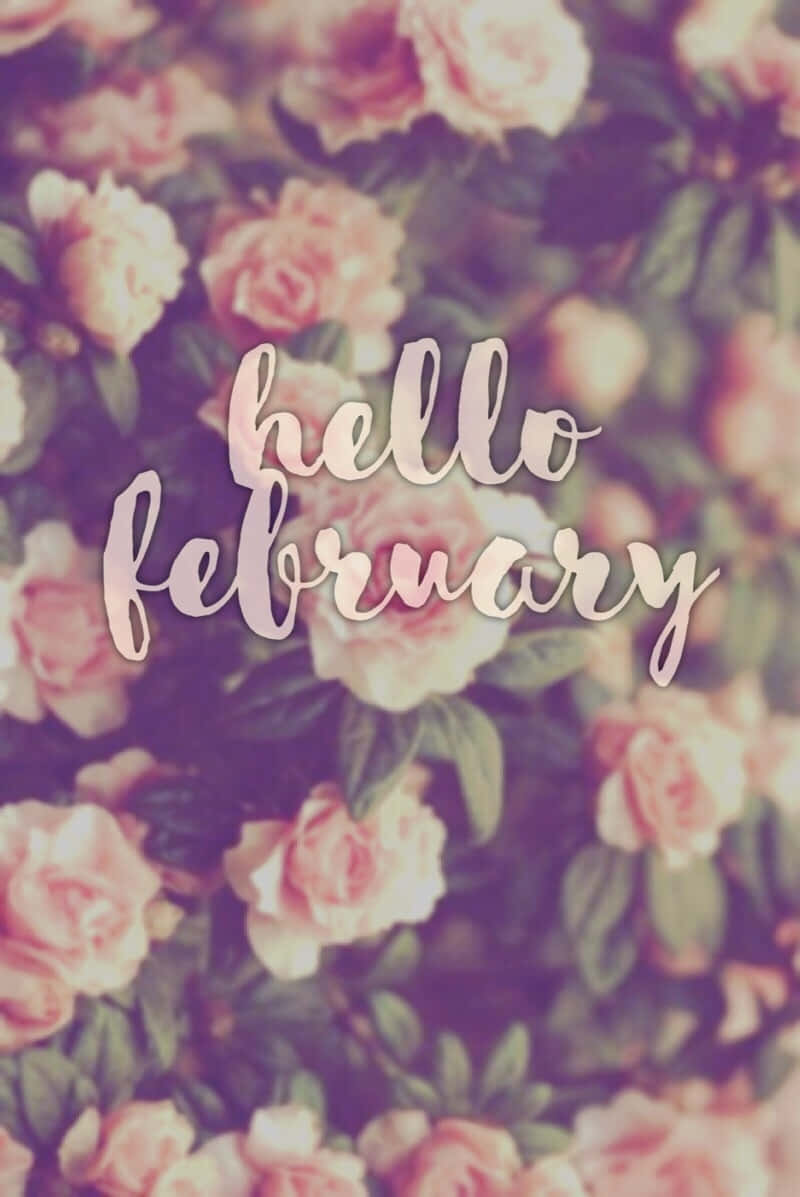 hello february, soft pink roses, green leaves, SD Phone Wallpaper