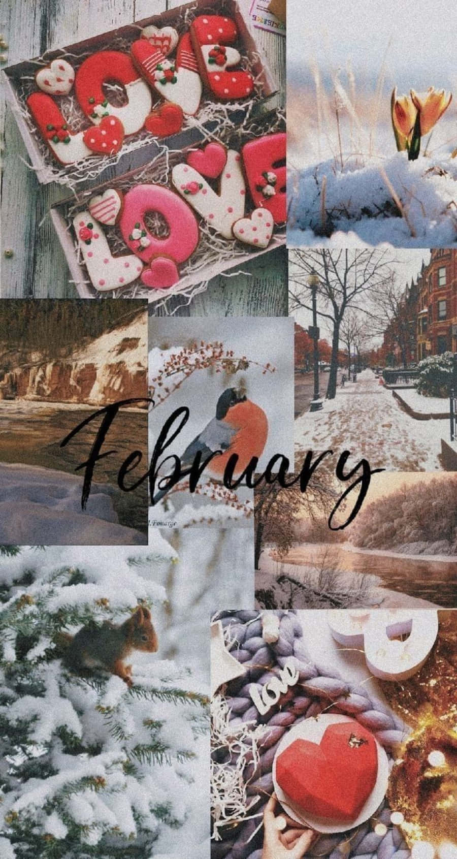 February iPhone, snow-covered landscapes, love-themed cookies, HD Phone Wallpaper