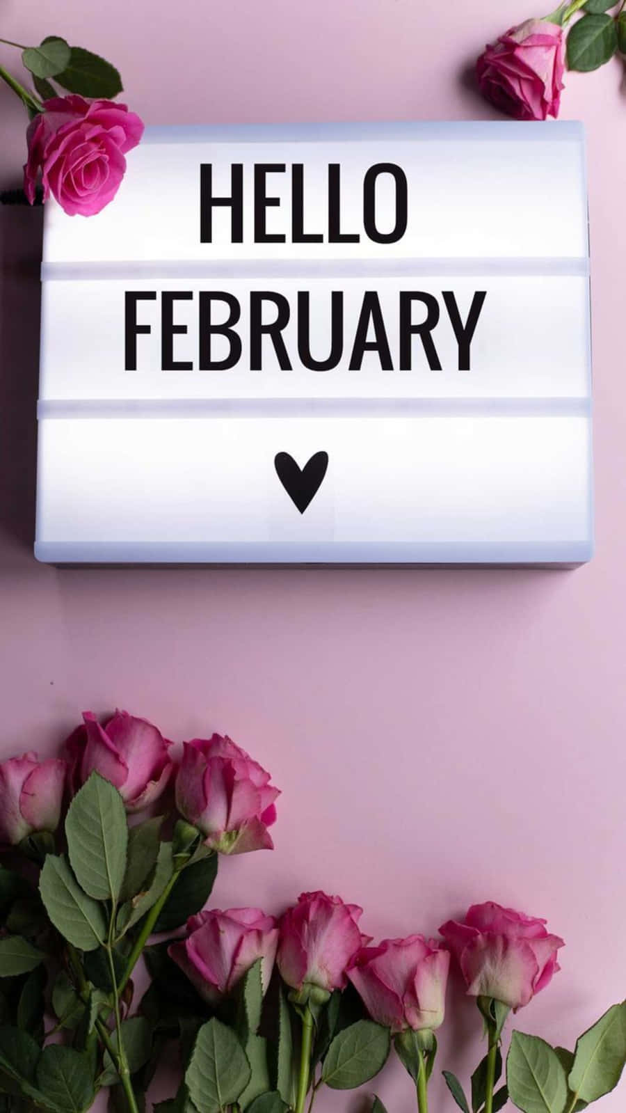 February iPhone, white lightbox, HELLO FEBRUARY, HD Phone Wallpaper