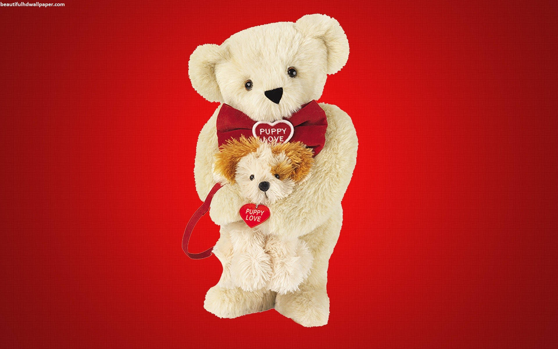 cream teddy bear, fluffy puppy, red heart tags, Full HD Desktop Wallpaper