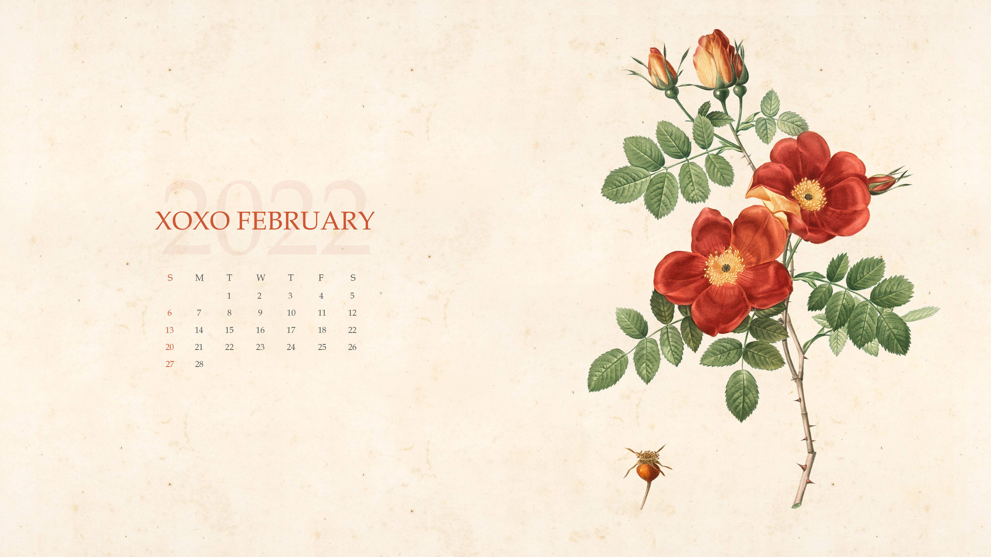 XOXO Calendar 2022, vintage-style, red rose illustration, 4K Desktop Wallpaper