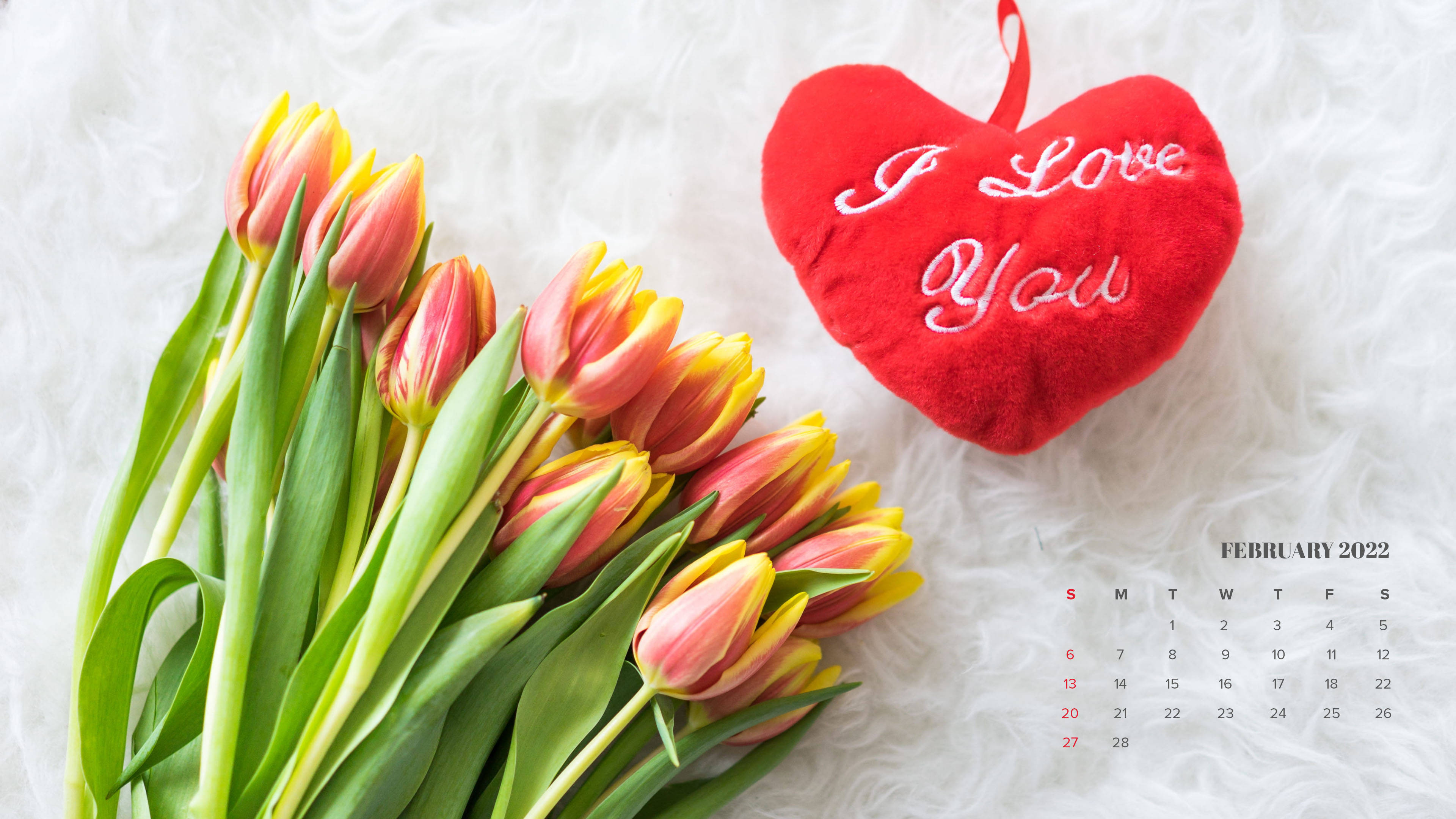 Tulips, February 2022 calendar, pink and yellow tulips, 4K Desktop Wallpaper