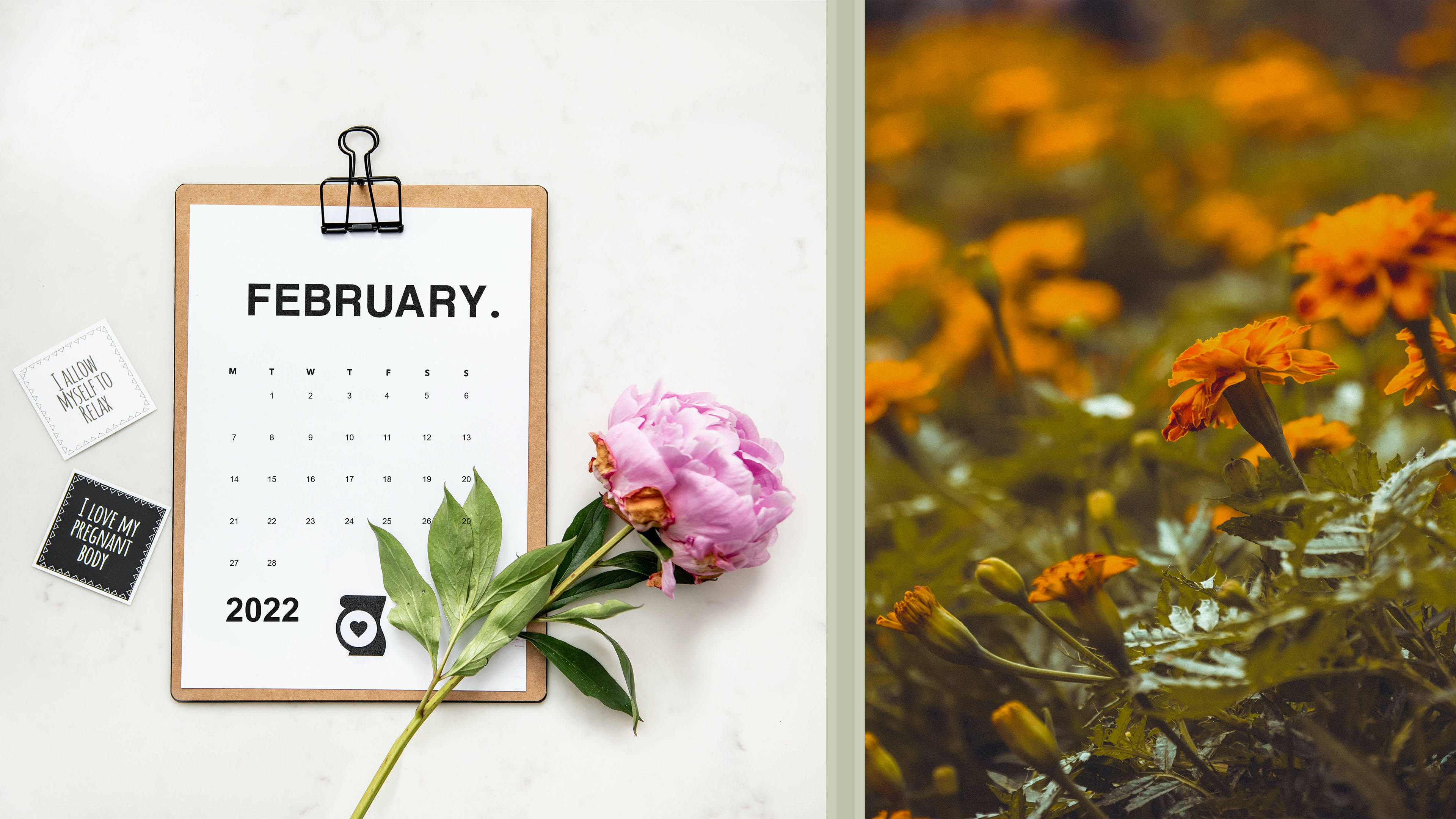 February 2022, marigold flower, clipboard, 4K Desktop Wallpaper