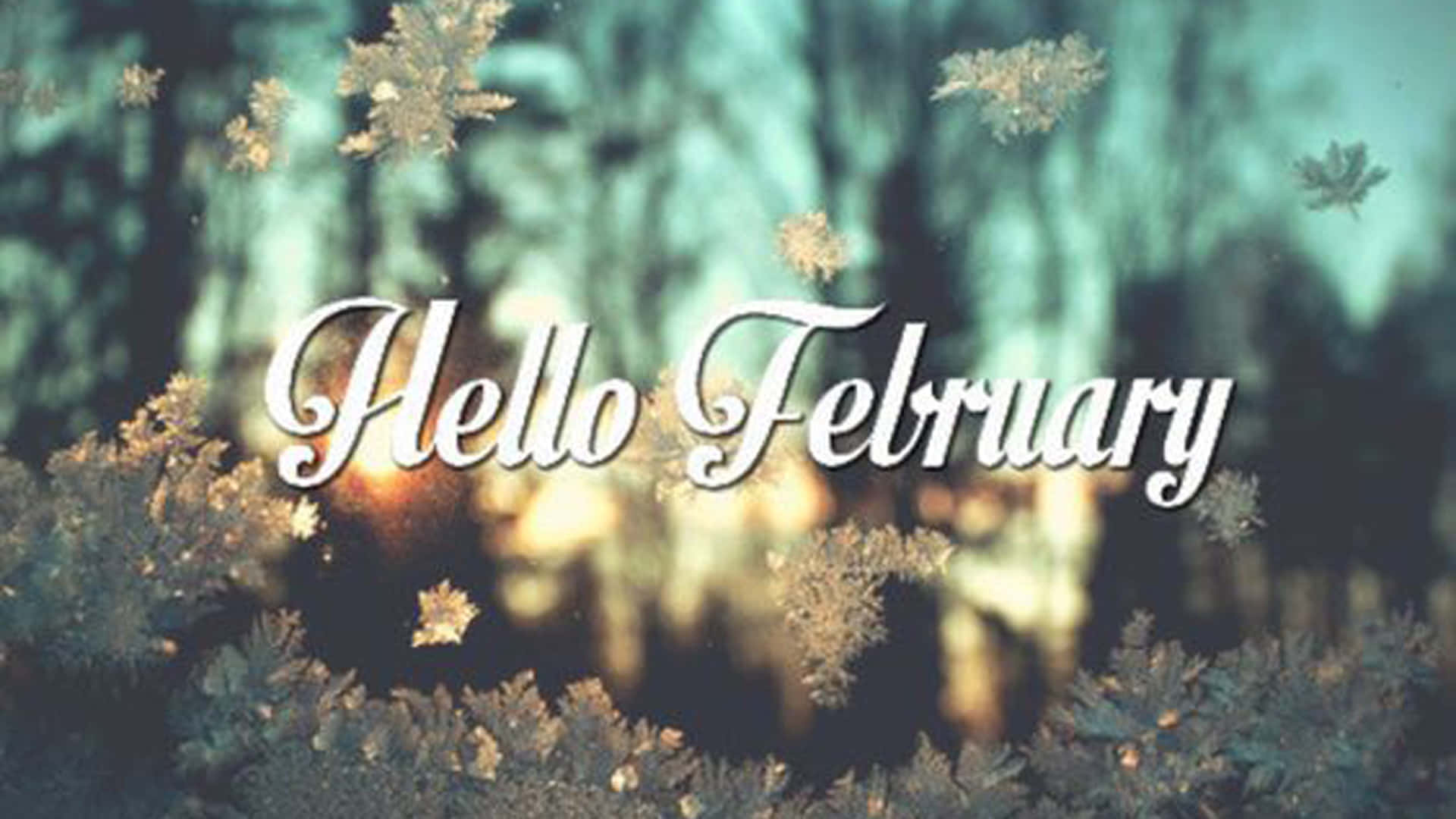 February, snowflakes, cursive text, Full HD Desktop Wallpaper