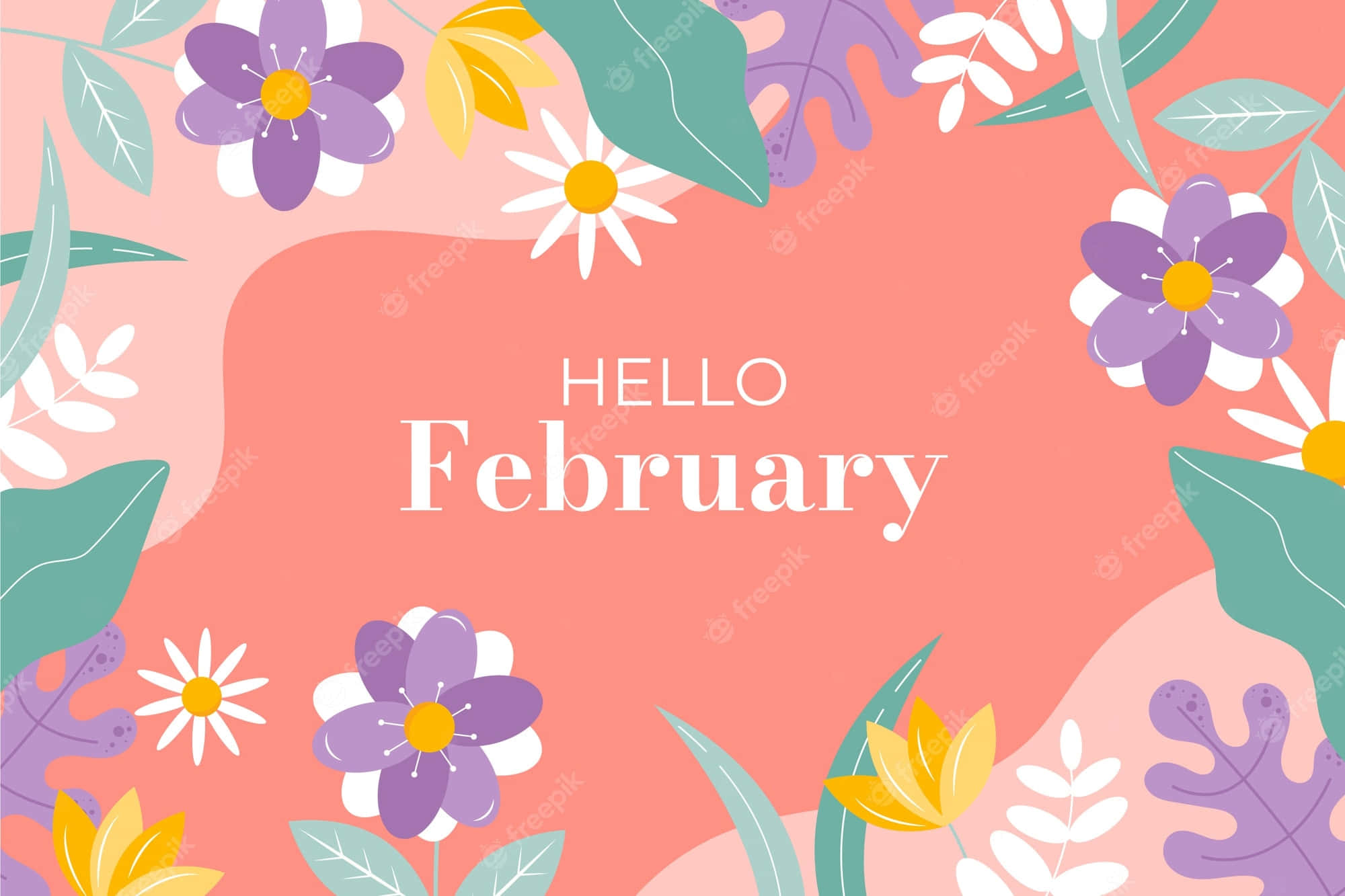February, pink background, purple flowers, Full HD Desktop Wallpaper