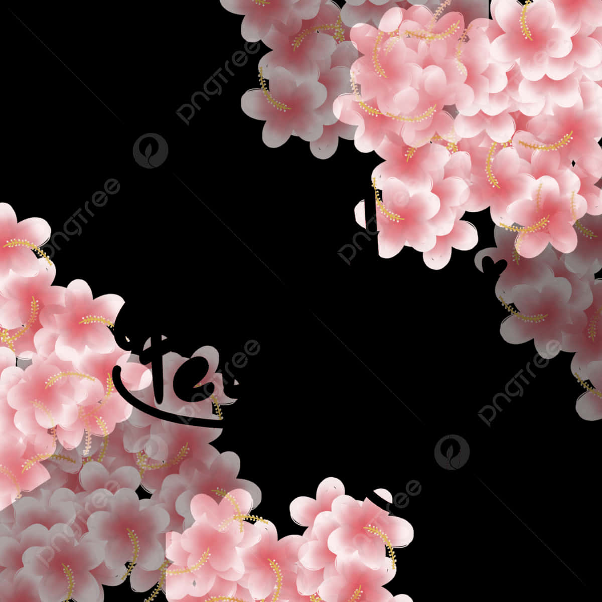 February, pink cherry blossoms, gold stamens, SD Desktop Wallpaper