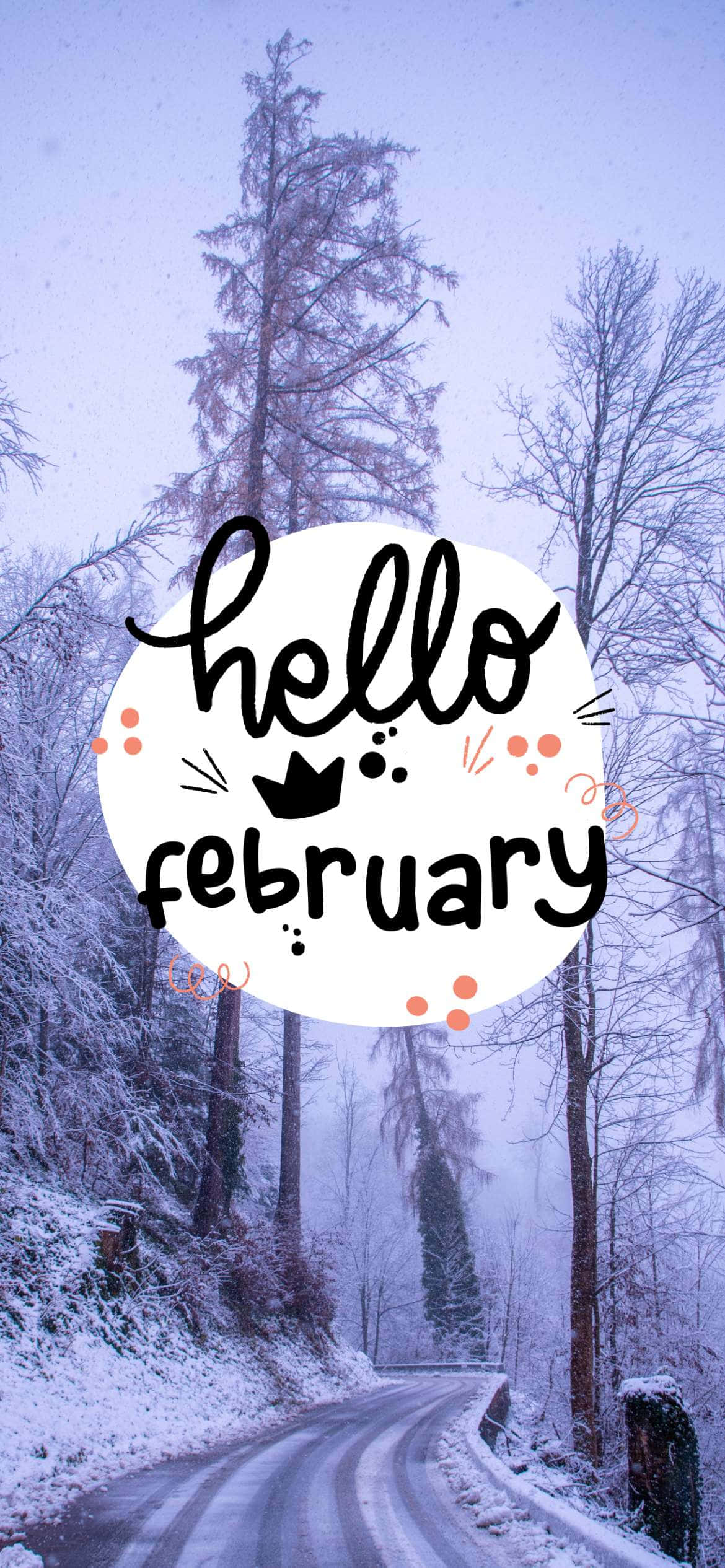 hello february, snowy forest road, bare trees, Full HD Phone Wallpaper