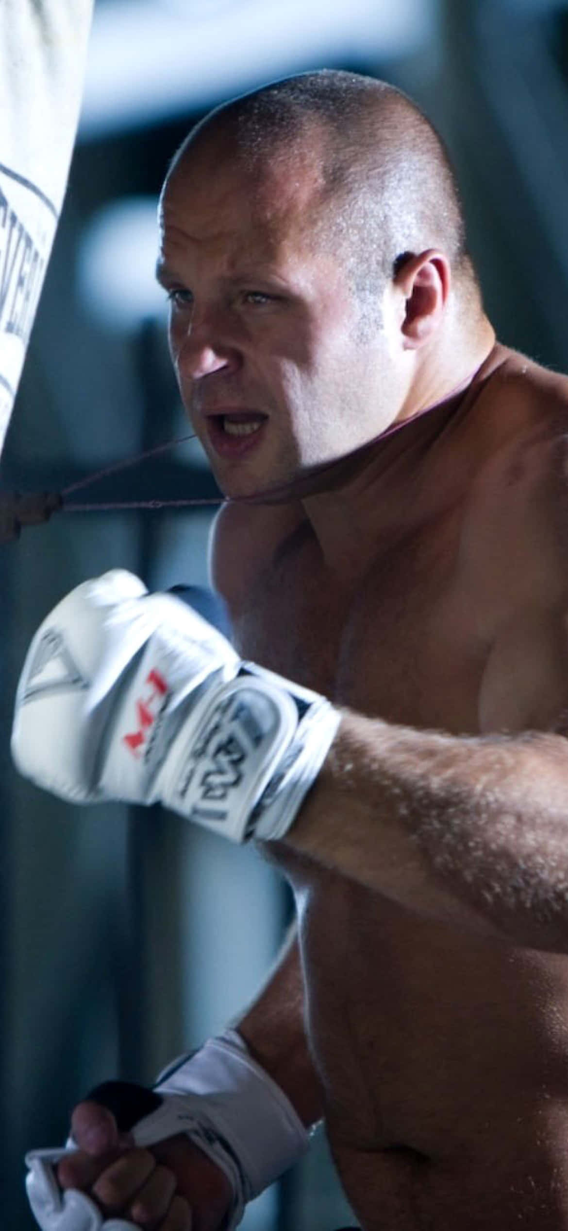 Fedor Emelianenko, white boxing gloves, heavy bag, Full HD Phone Wallpaper