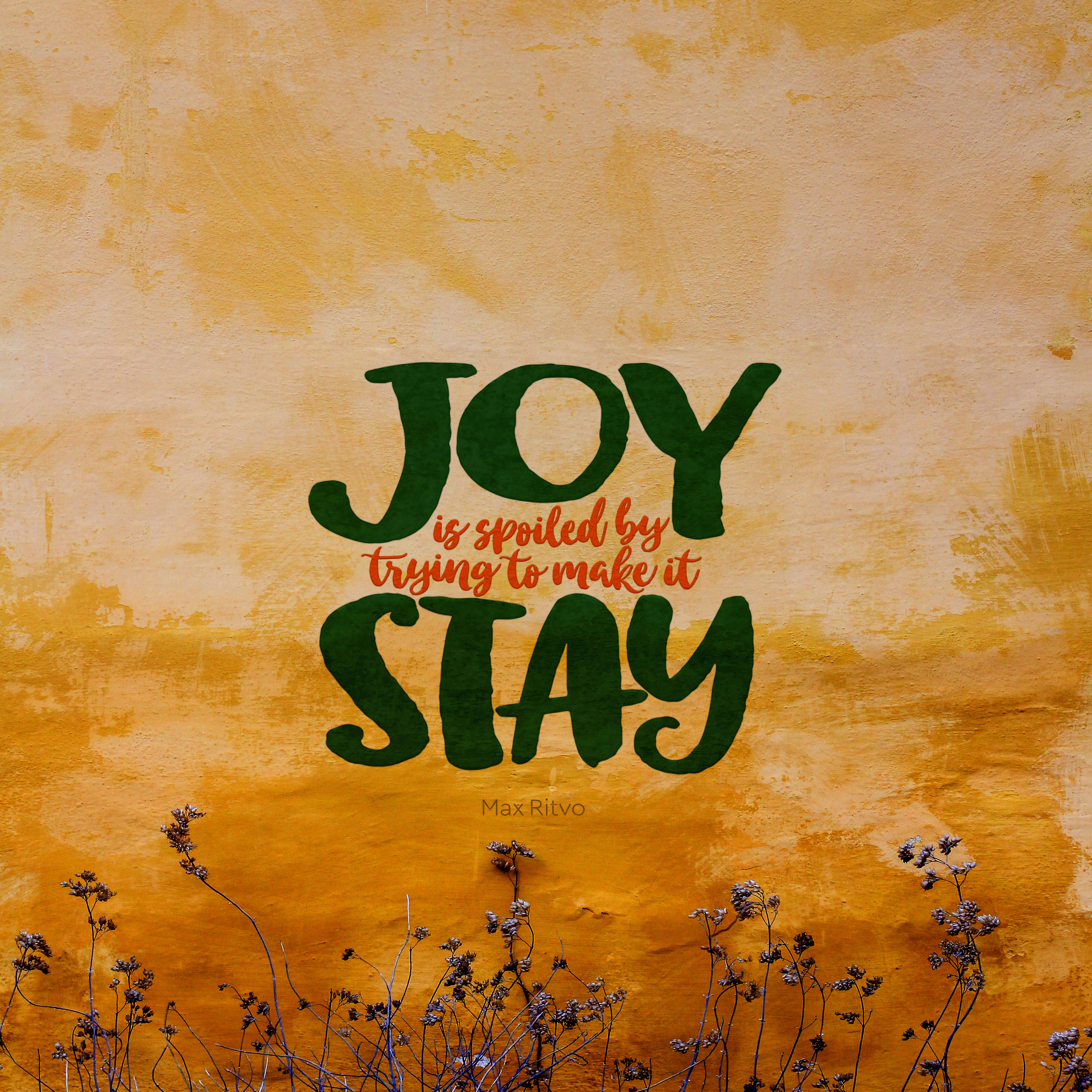 Joy Feels Art, mustard wall, dried plants, 5K Desktop Wallpaper