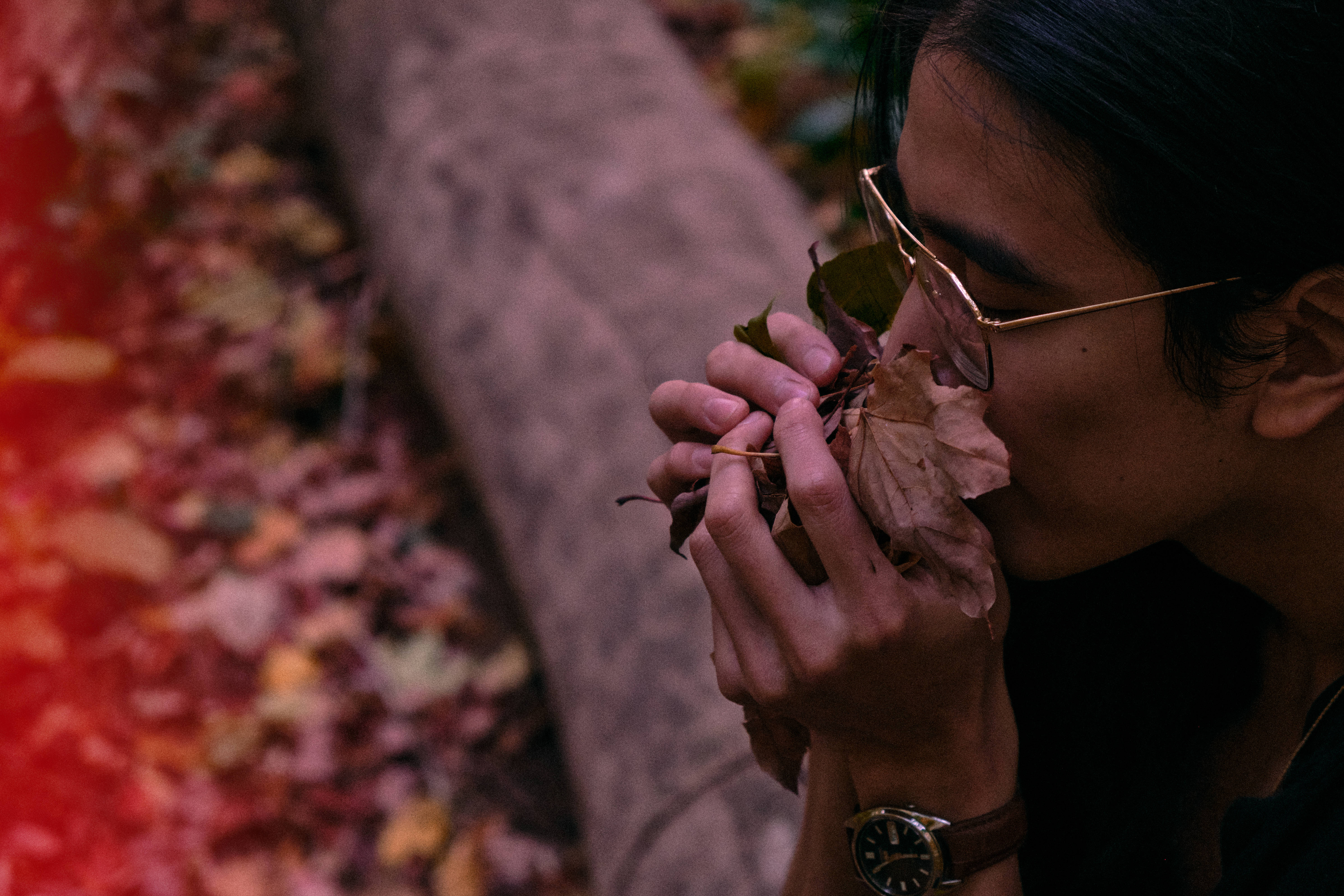 autumn leaves, vibrant red and brown forest floor, person with glasses, 5K Desktop Wallpaper