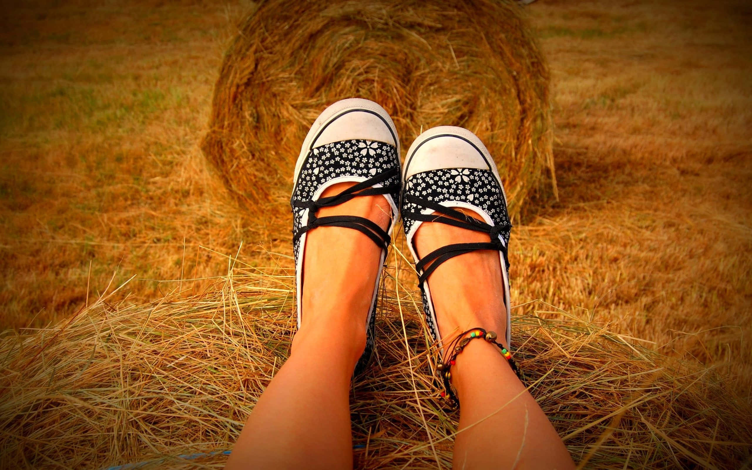 black and white shoes, hay bale, sunlit field, 2K Desktop Wallpaper
