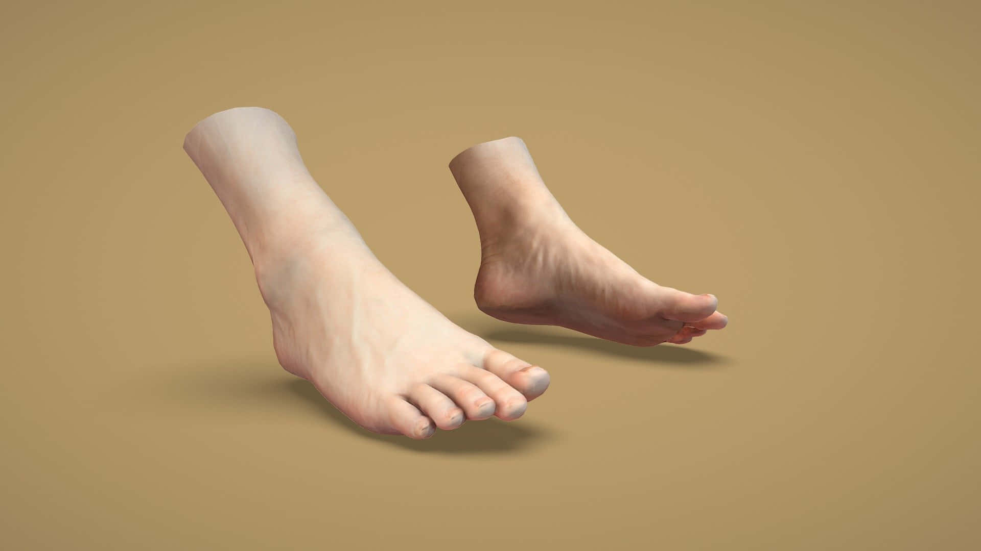 3D Male Feet, soft beige background, subtle shadows, Full HD Desktop Wallpaper