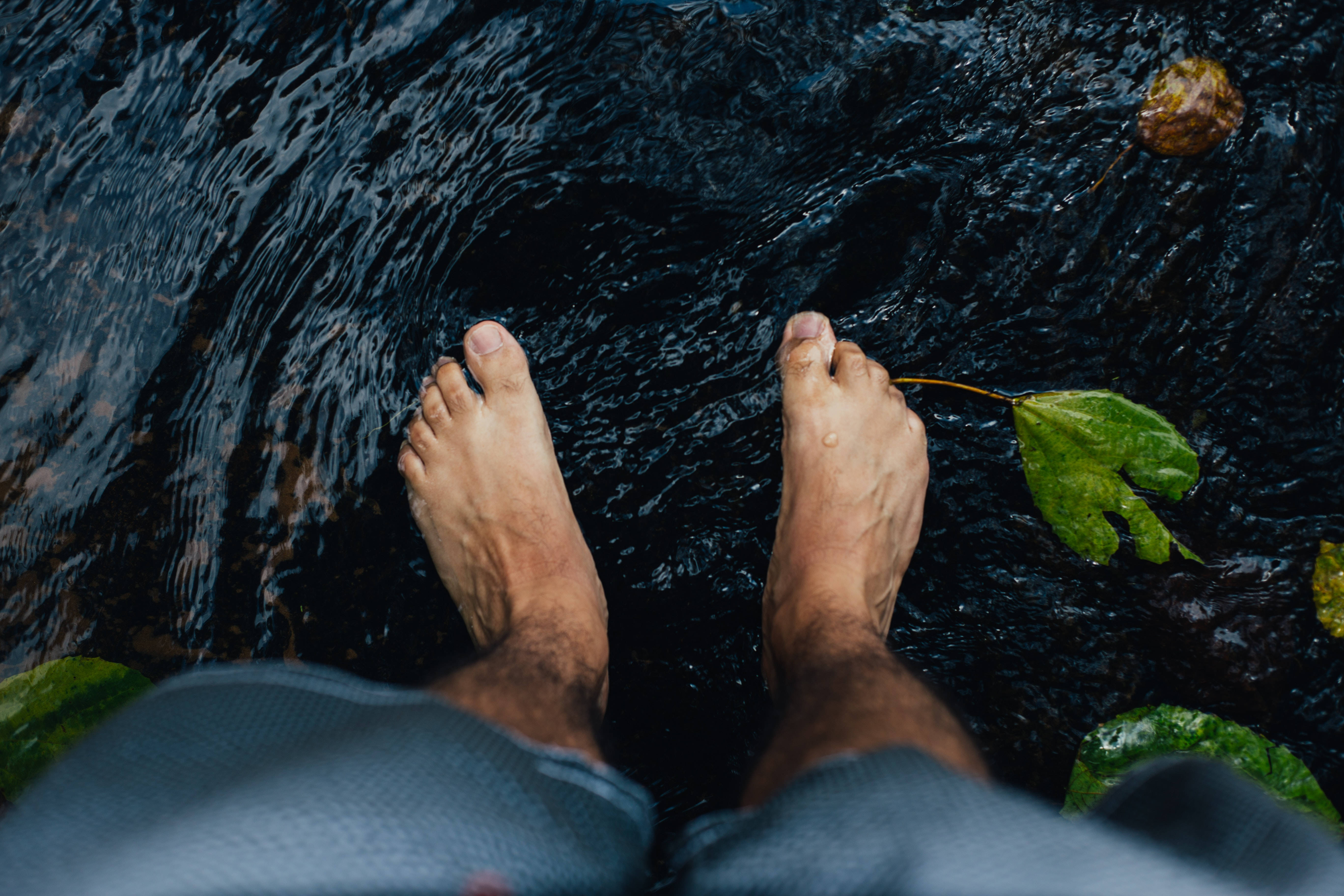 dark water, floating green leaves, fallen brown foliage, 5K Desktop Wallpaper