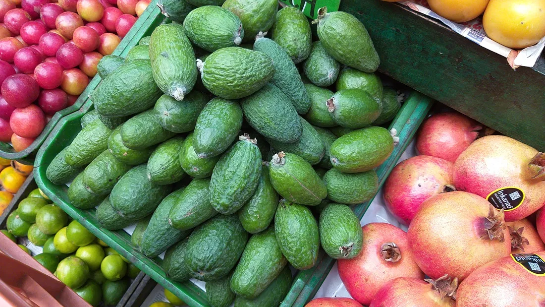 Feijoa
