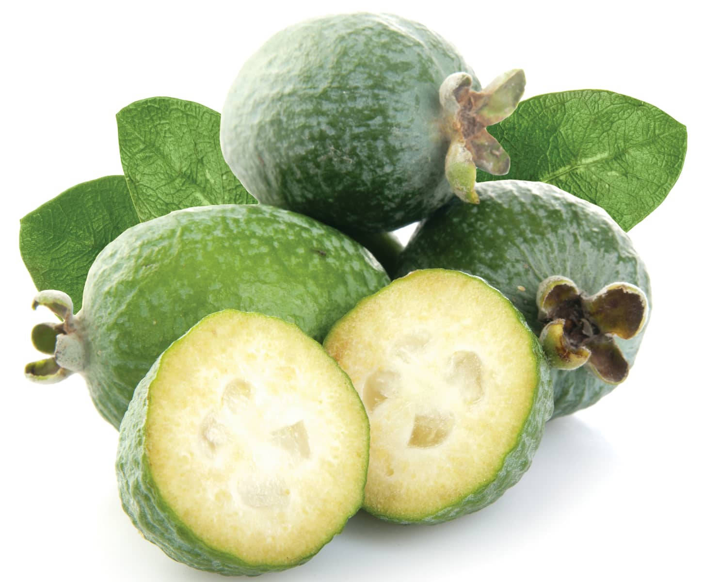 Feijoas, prime, autumn, HD Desktop Wallpaper