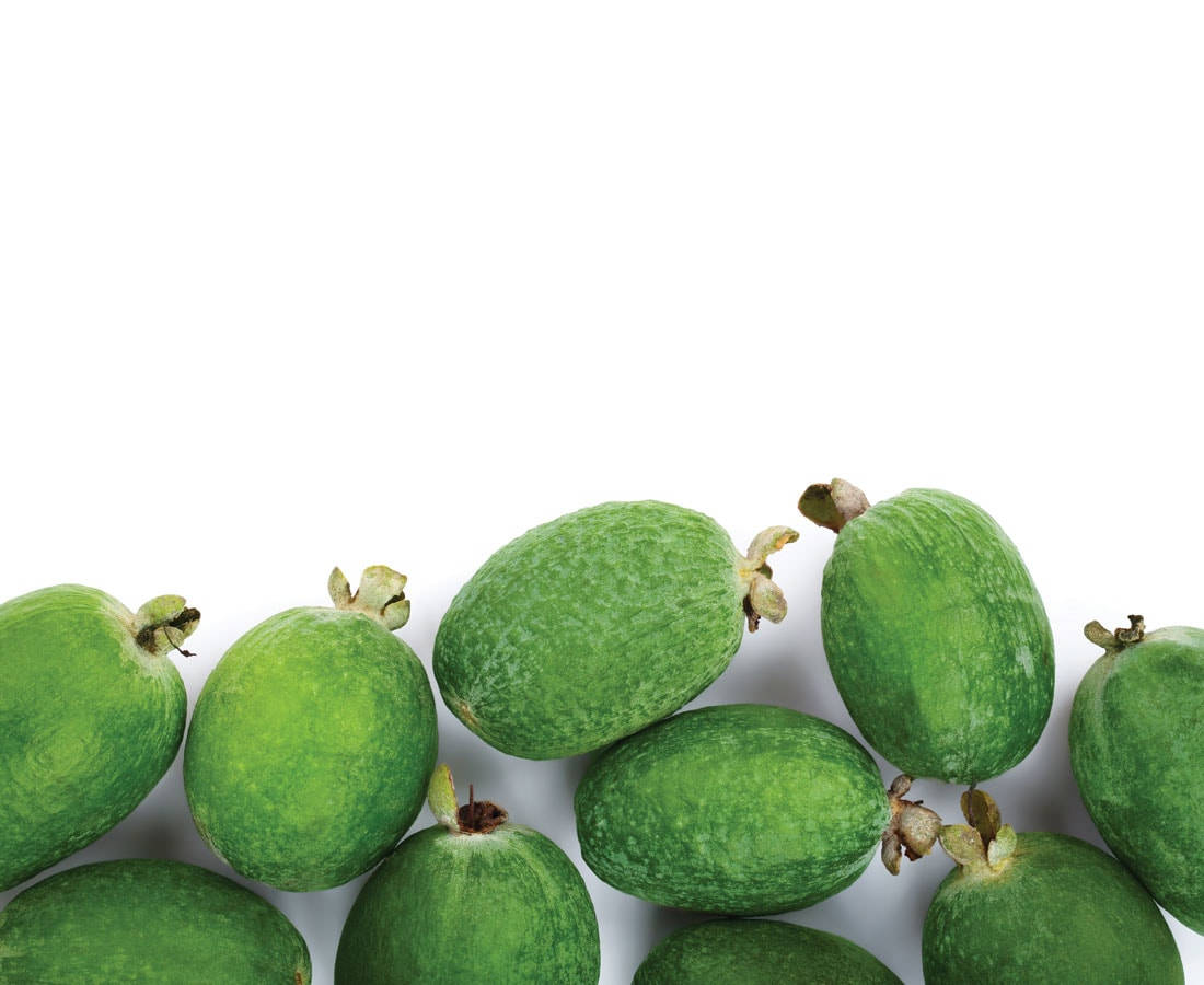 feijoas, curved line, stark white background, SD Desktop Wallpaper
