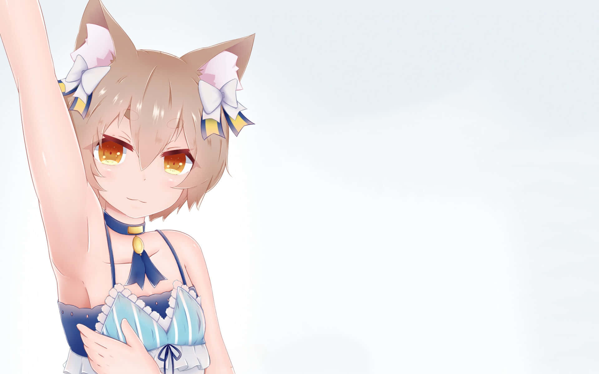 Felix Argyle, anime girl, cat ears, Full HD Desktop Wallpaper
