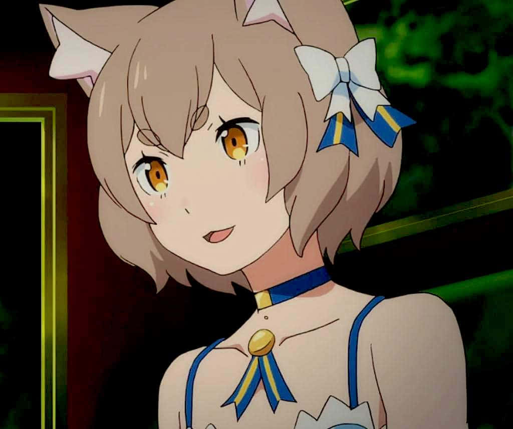 Felix Argyle, anime girl, cat ears, SD Desktop Wallpaper
