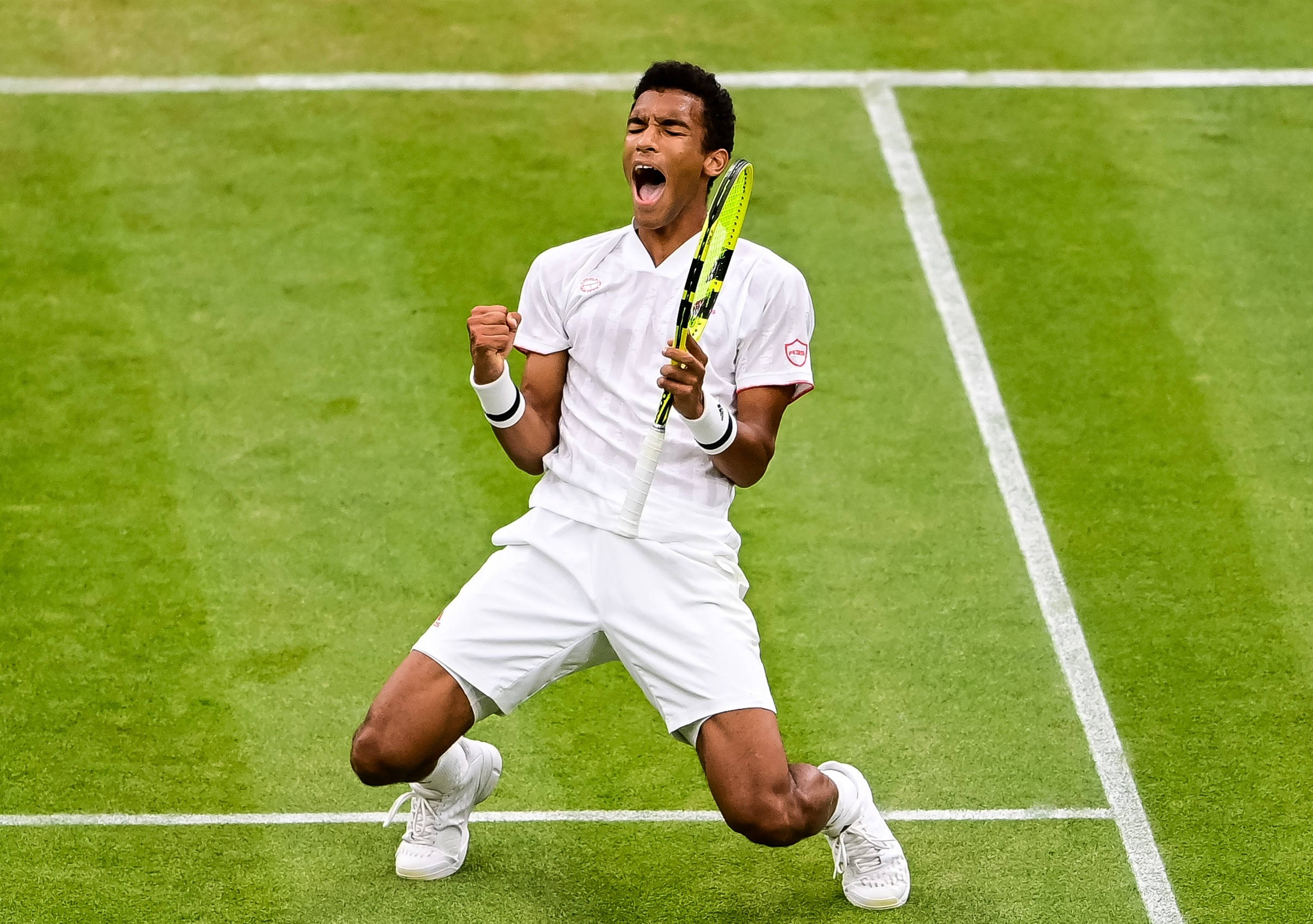 Felix Auger Aliassime, white gear, vibrant green grass court, Full HD Desktop Wallpaper