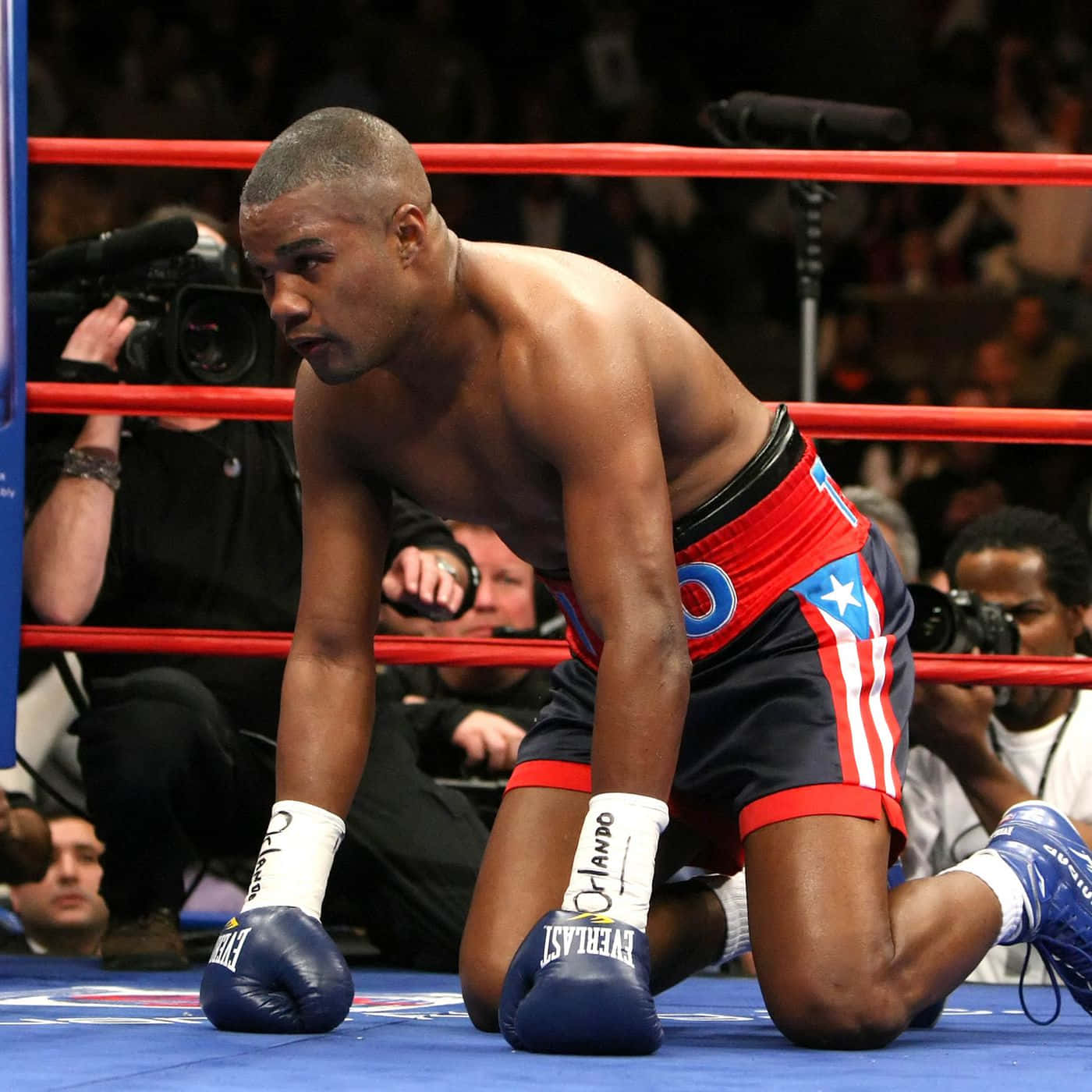 Felix Trinidad, blue canvas, red ropes, HD Desktop Wallpaper