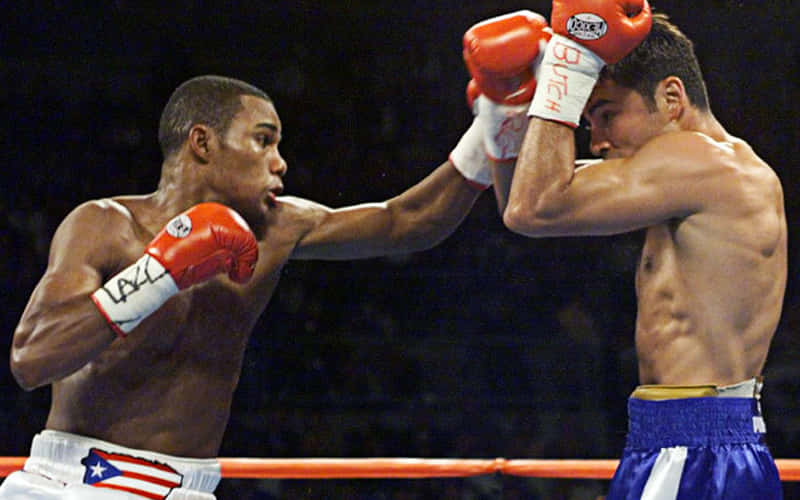 Felix Trinidad, ring, arena lights, SD Desktop Wallpaper