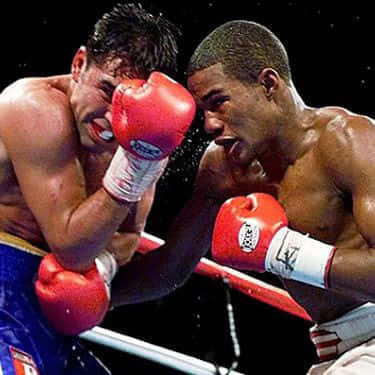 Felix Trinidad, red gloves, sweat, SD Desktop Wallpaper