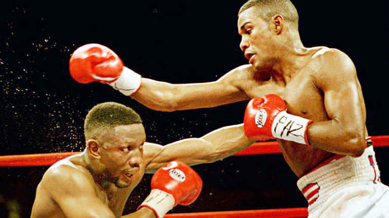 Felix Trinidad, red gloved punch, rain-splattered ring, SD Desktop Wallpaper