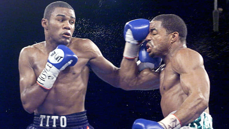 Felix Trinidad, ring, sweat, SD Desktop Wallpaper