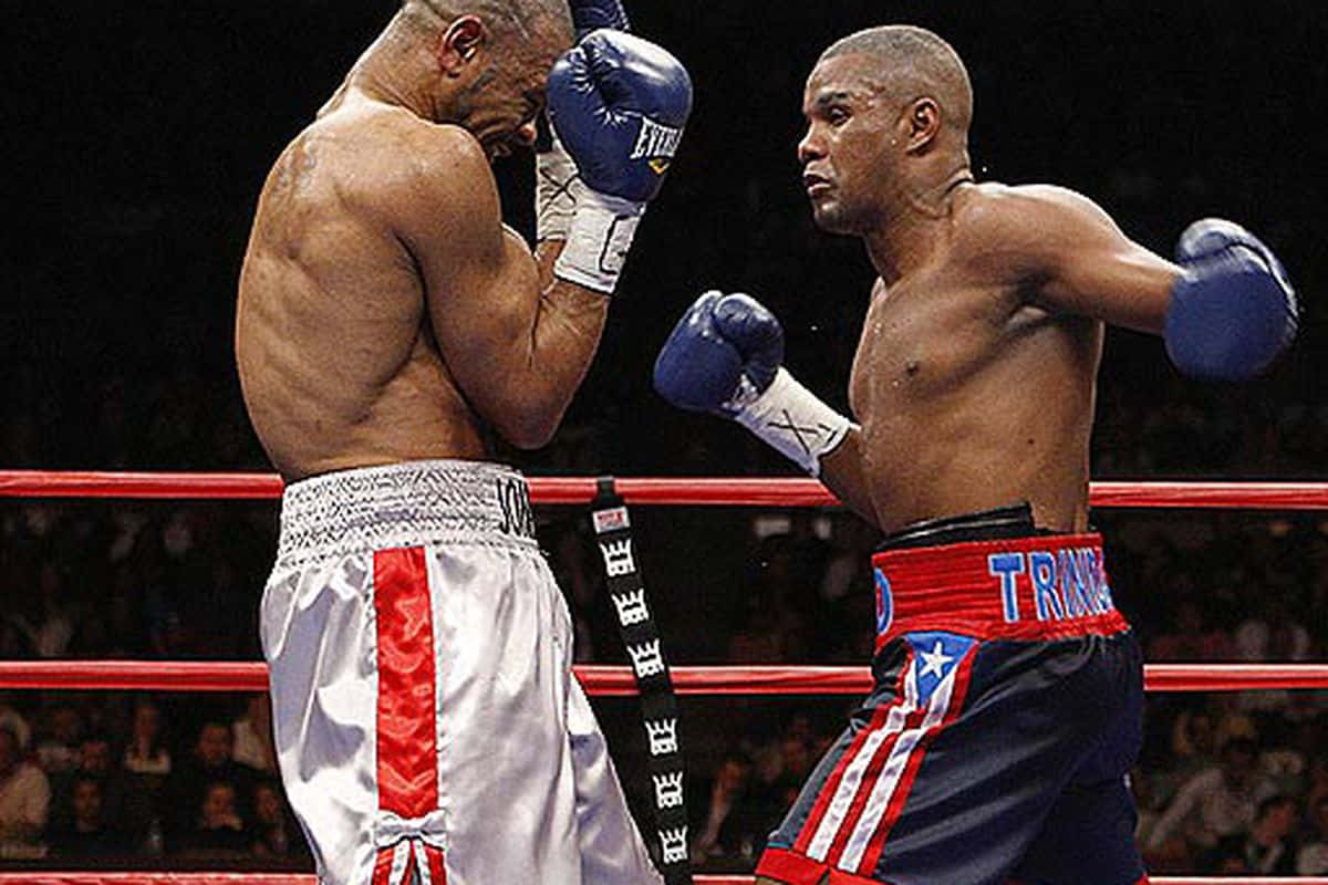 Felix Trinidad, dark blue bocing gloves, ring, SD Desktop Wallpaper